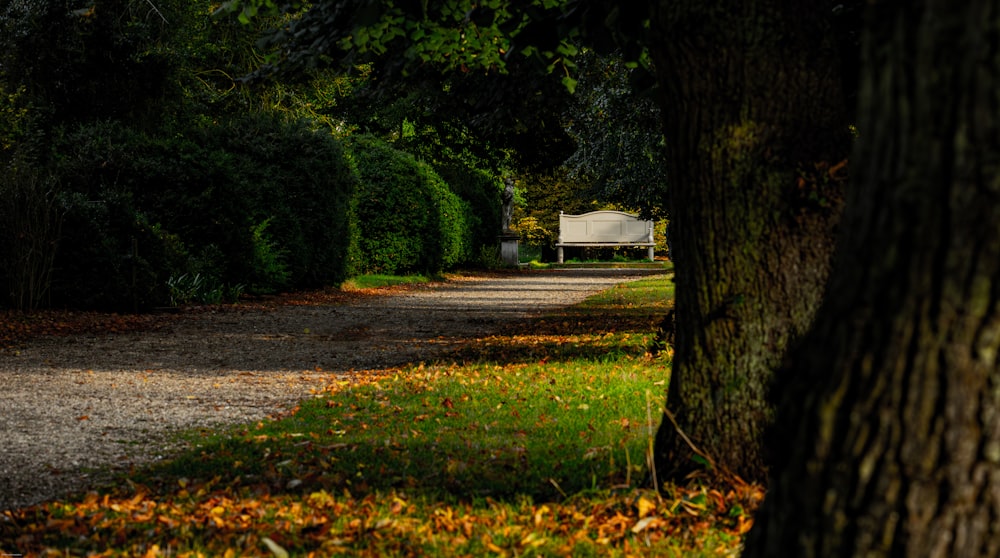 a park bench sitting on the side of a road