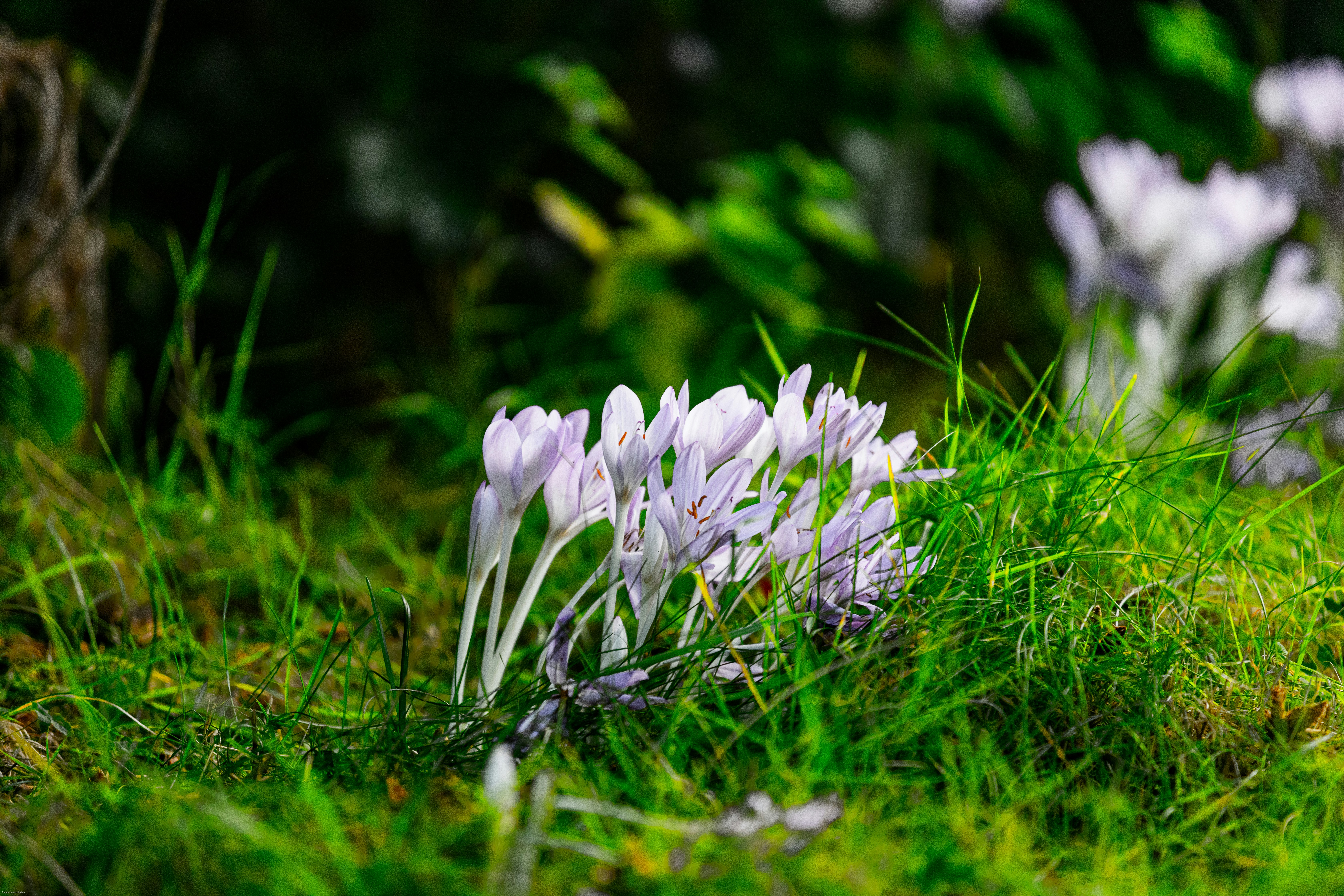 Photo by anthonyjames_f8