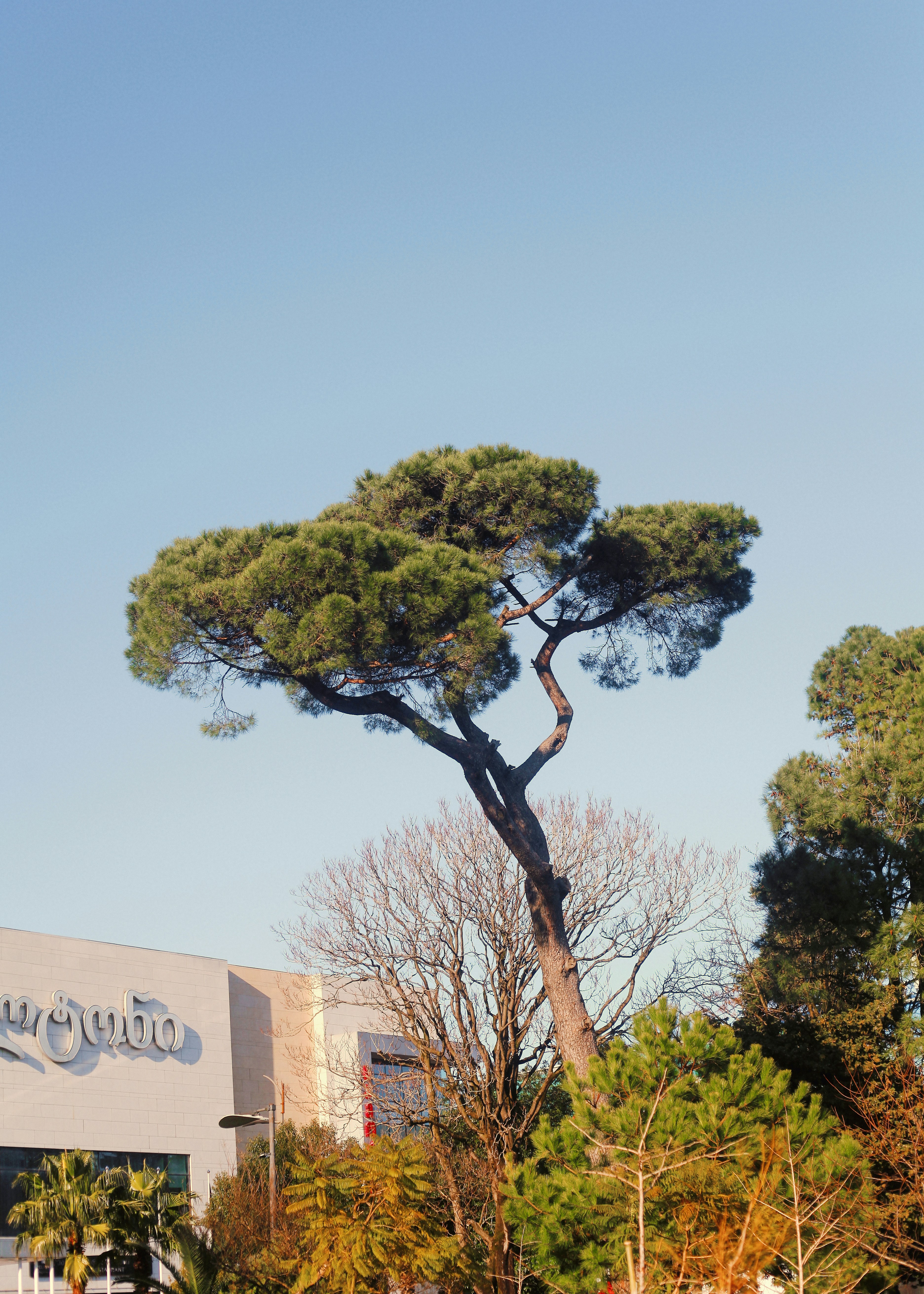 The Botanical Garden Ridge Walk