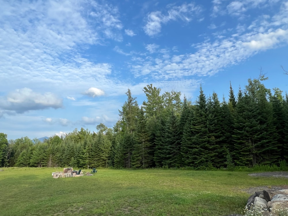 a grassy field with trees in the background