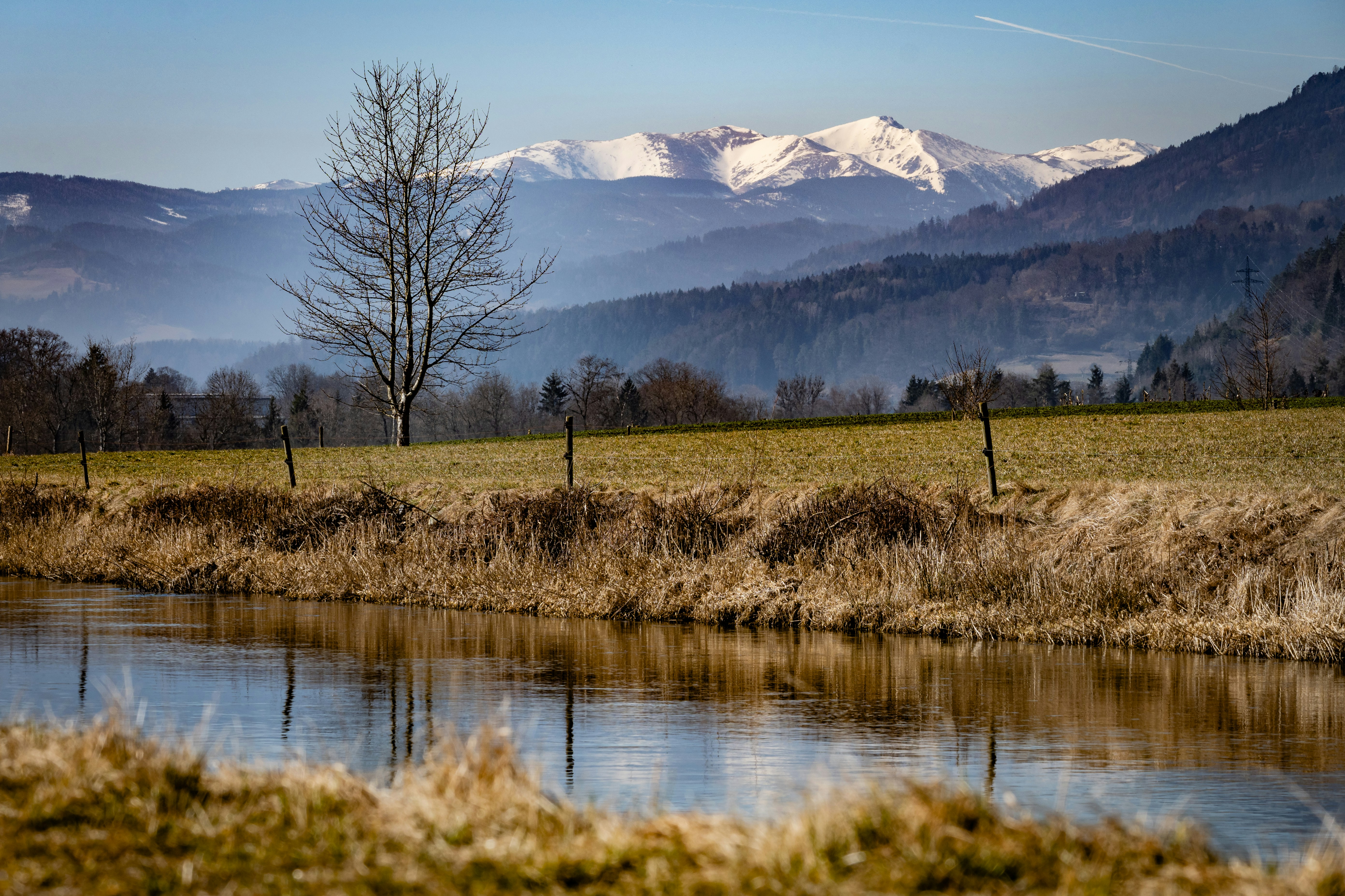 青々とした緑の野原を流れる川