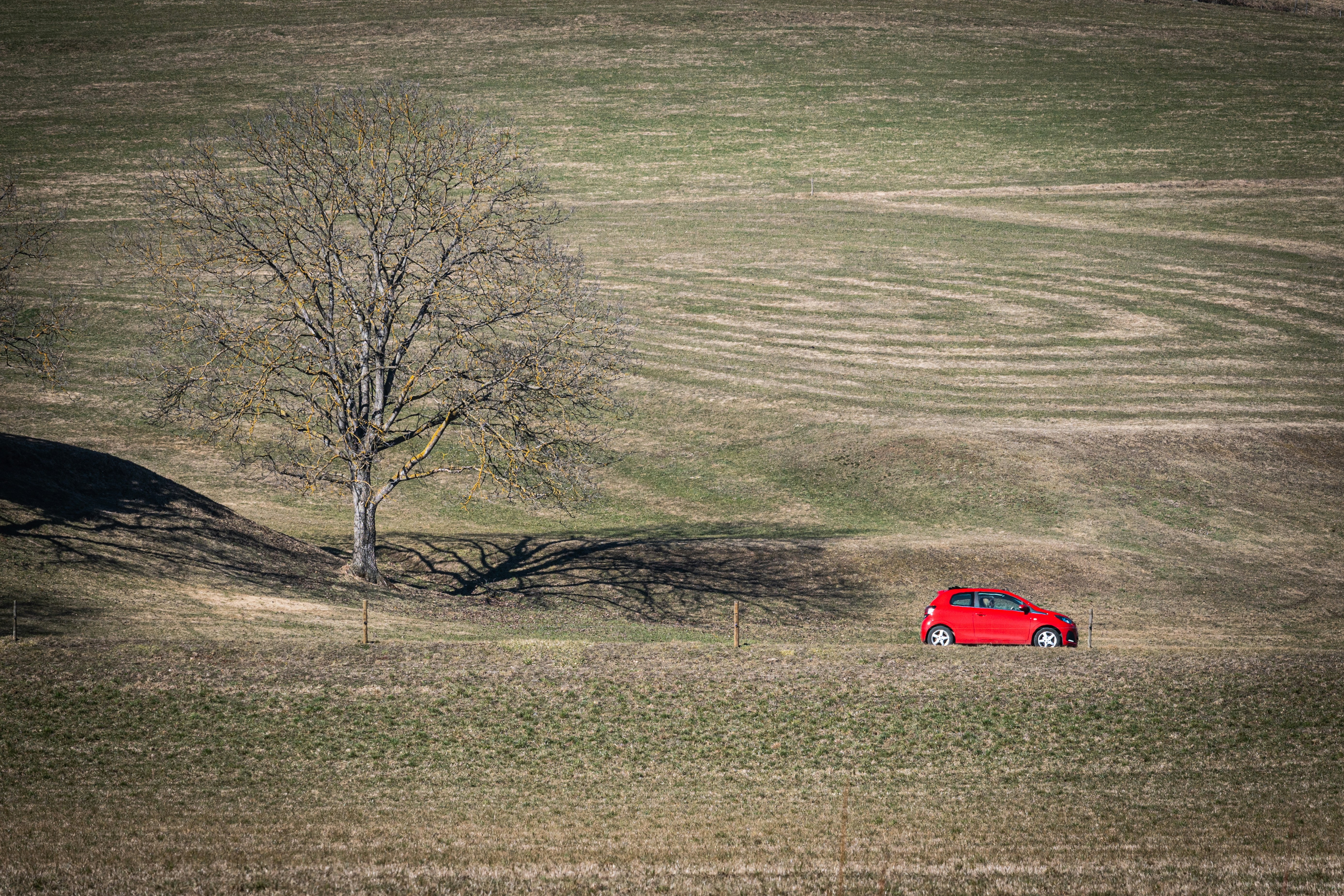 木の横の野原に停められた赤い車