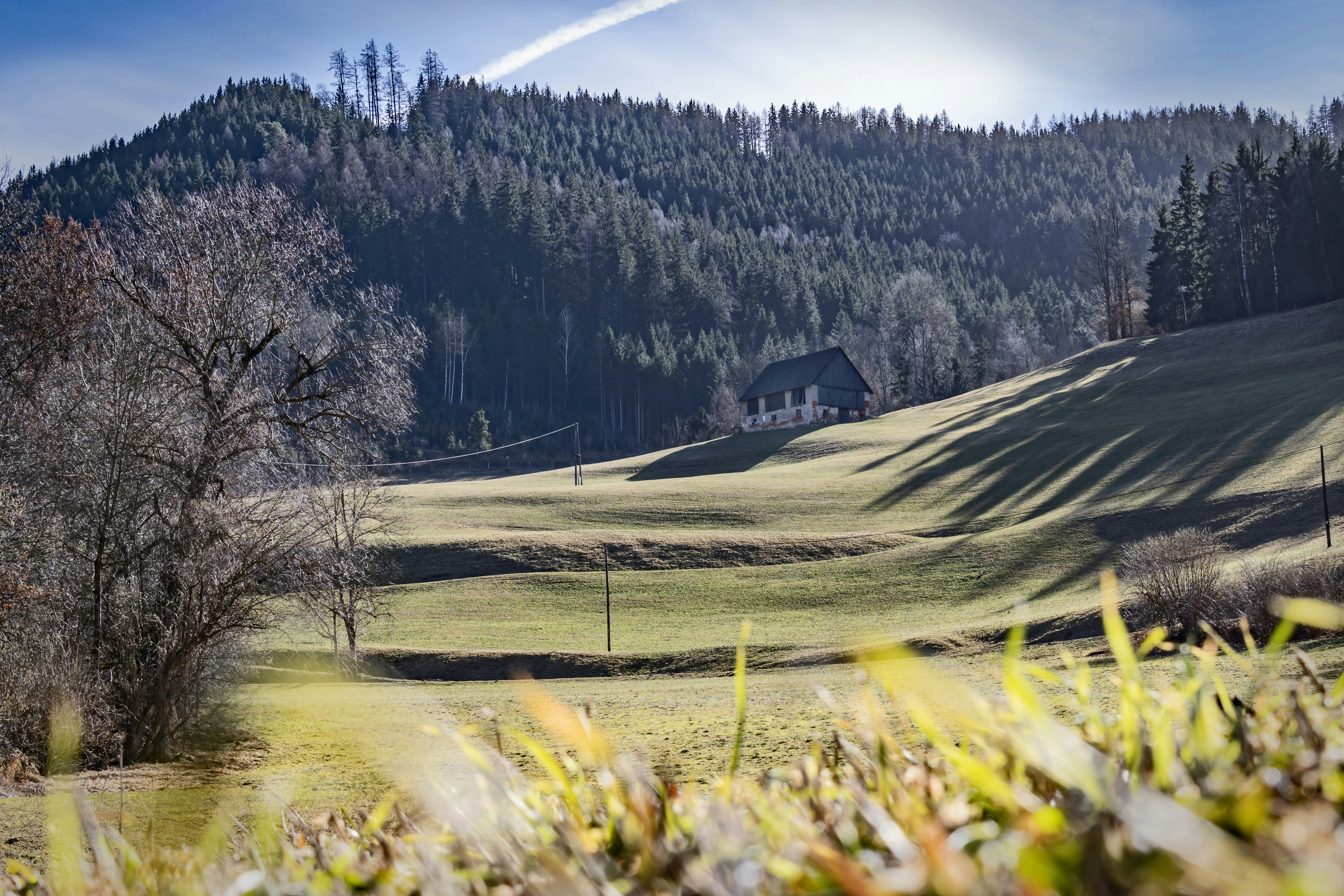 家を背景にした草原