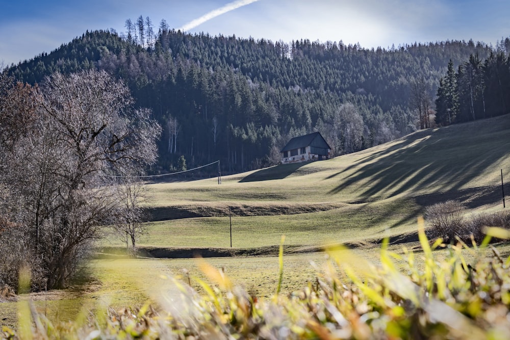 a grassy field with a house in the background