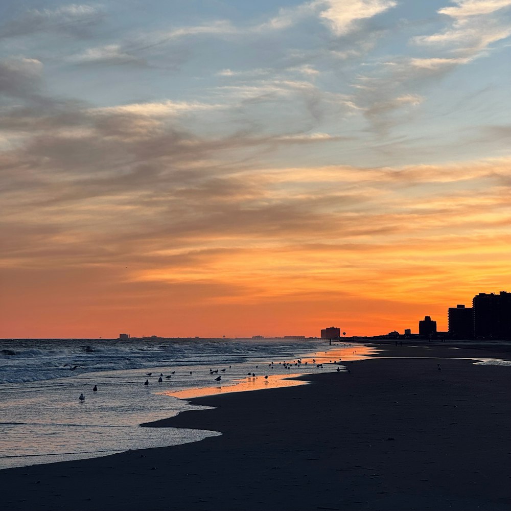 a sunset on a beach with birds in the water