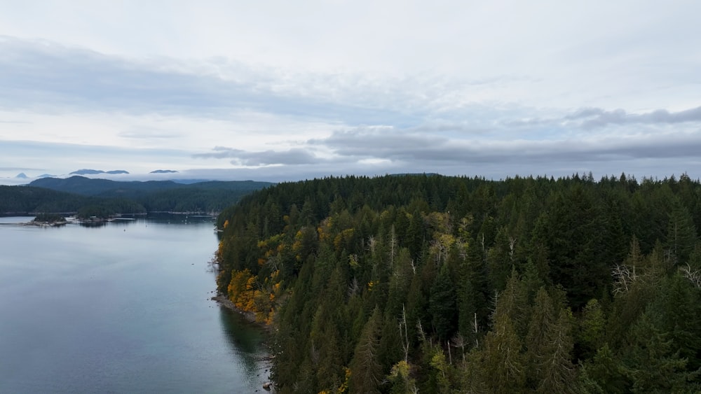 a large body of water surrounded by trees