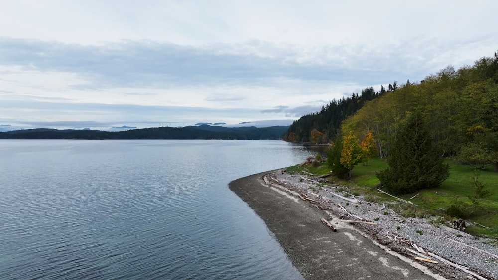 a large body of water surrounded by a forest