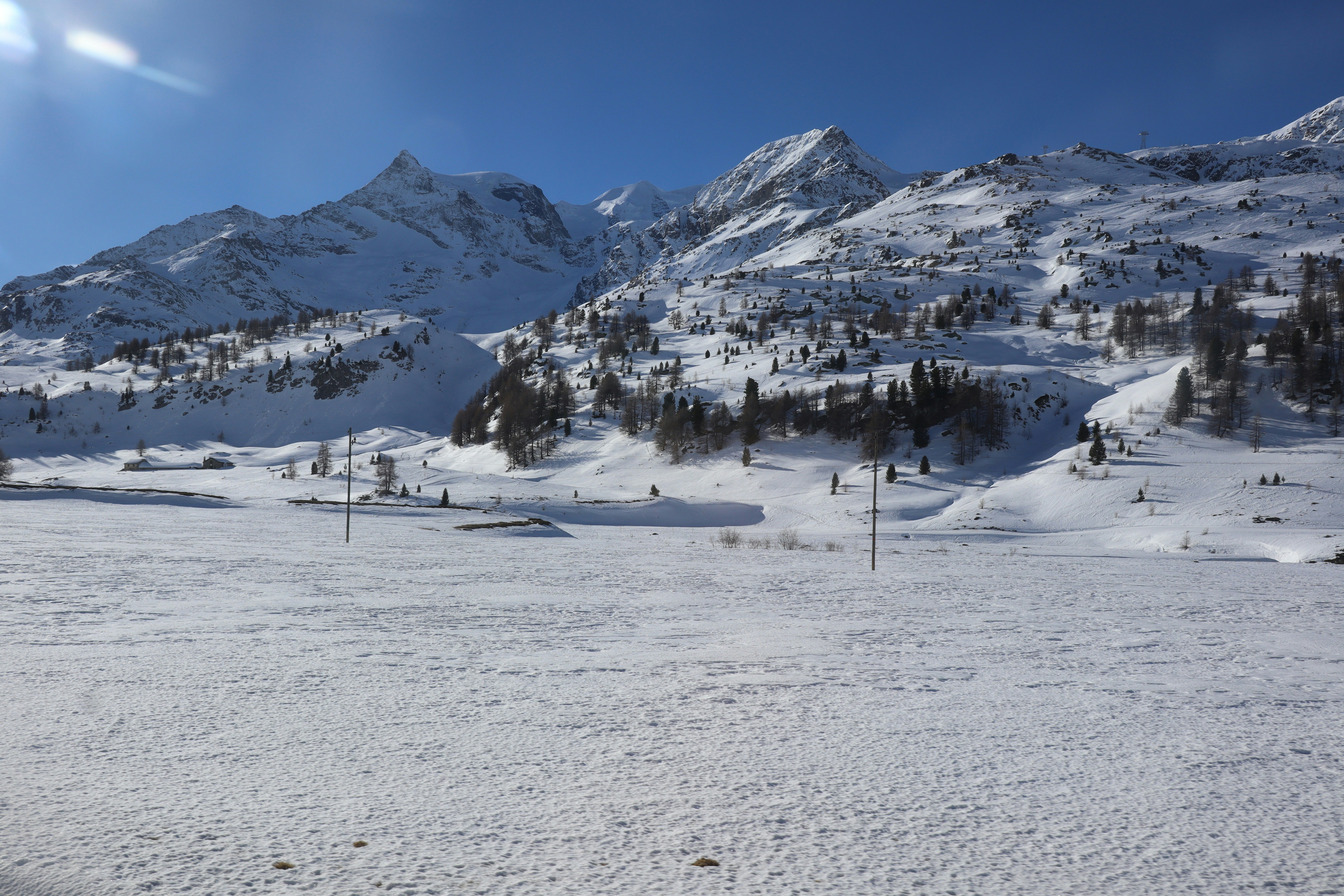 Photo by mihaela_claudia_p