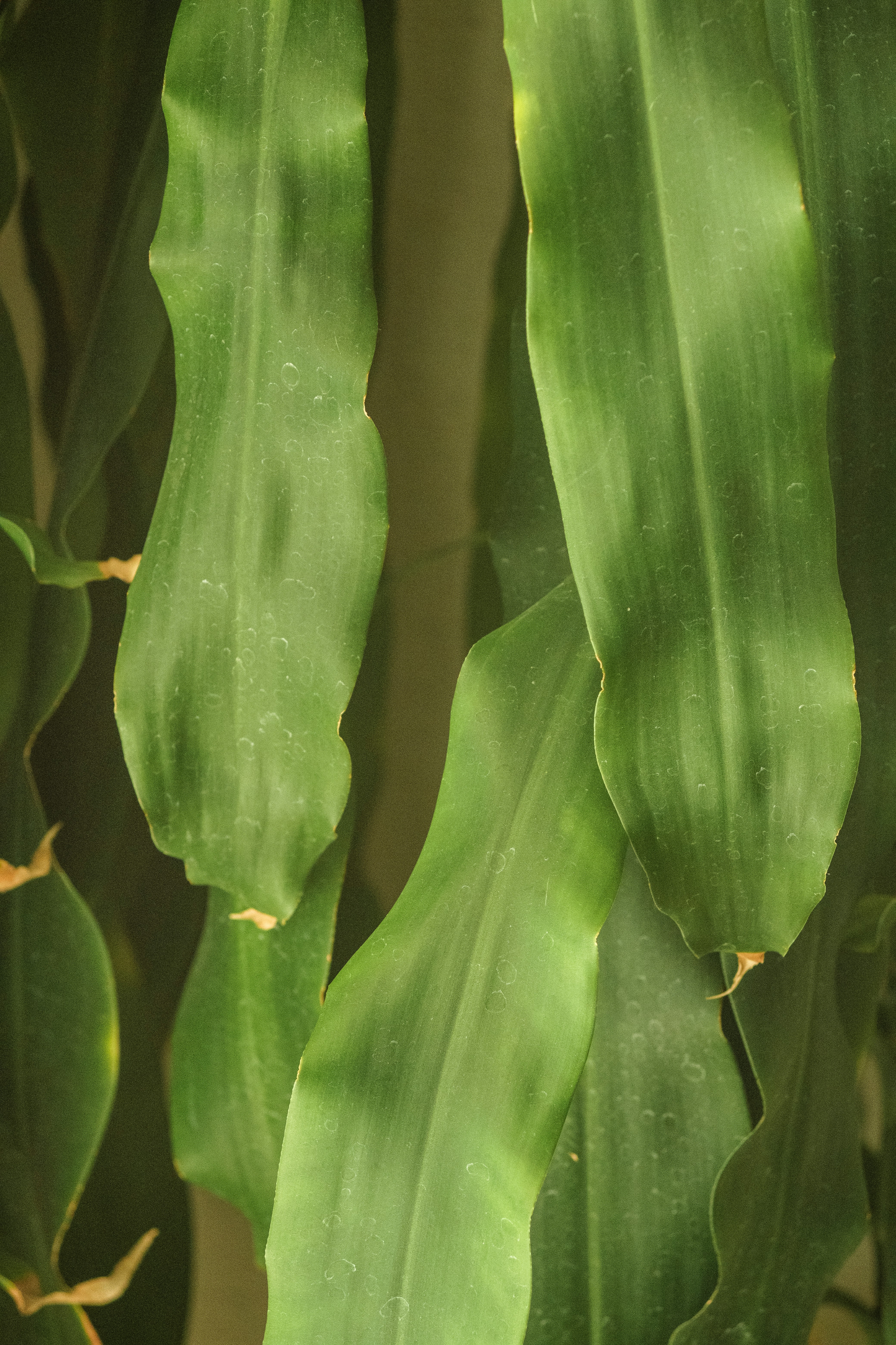 Photo by alex_quezada