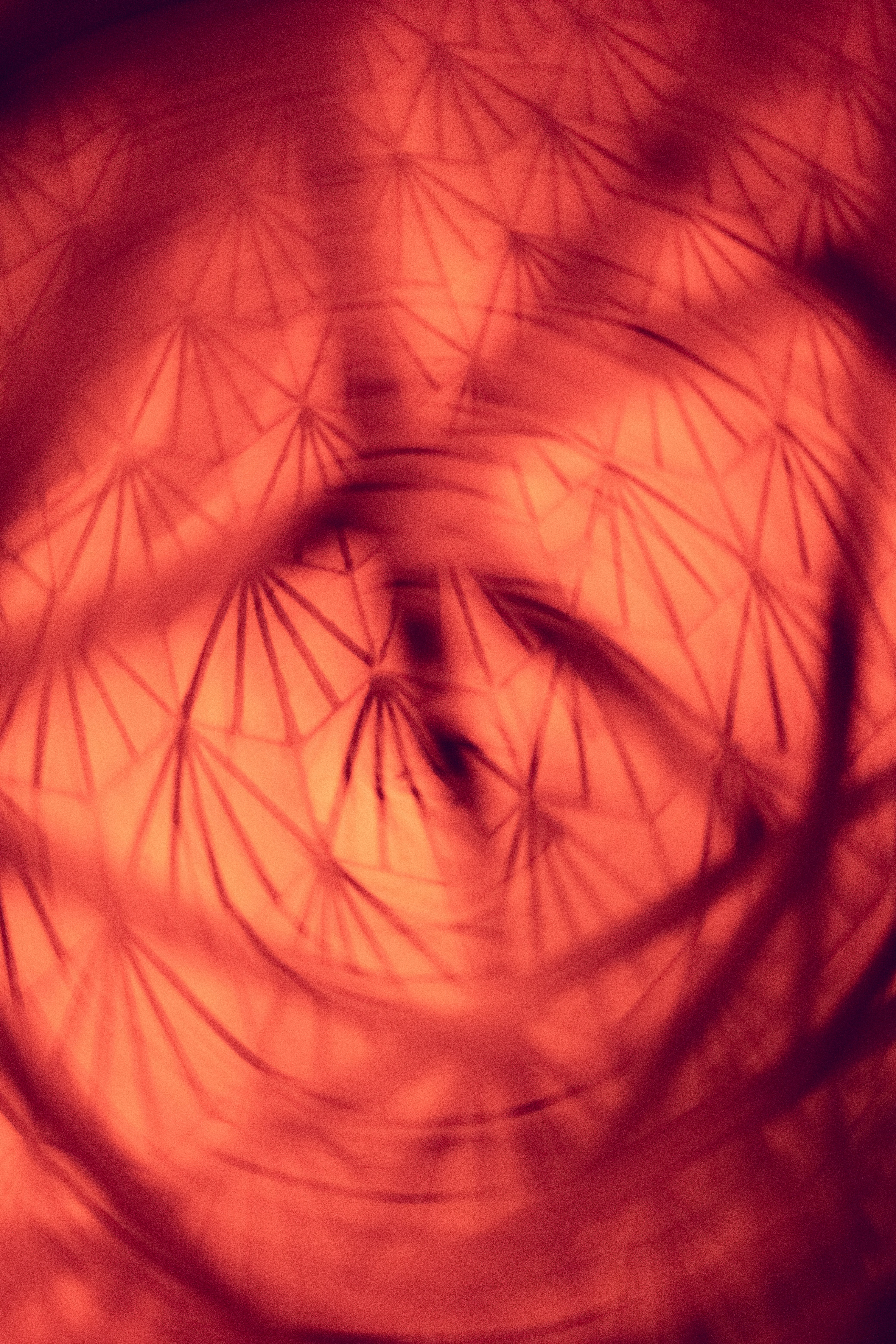 Photo by alex_quezada