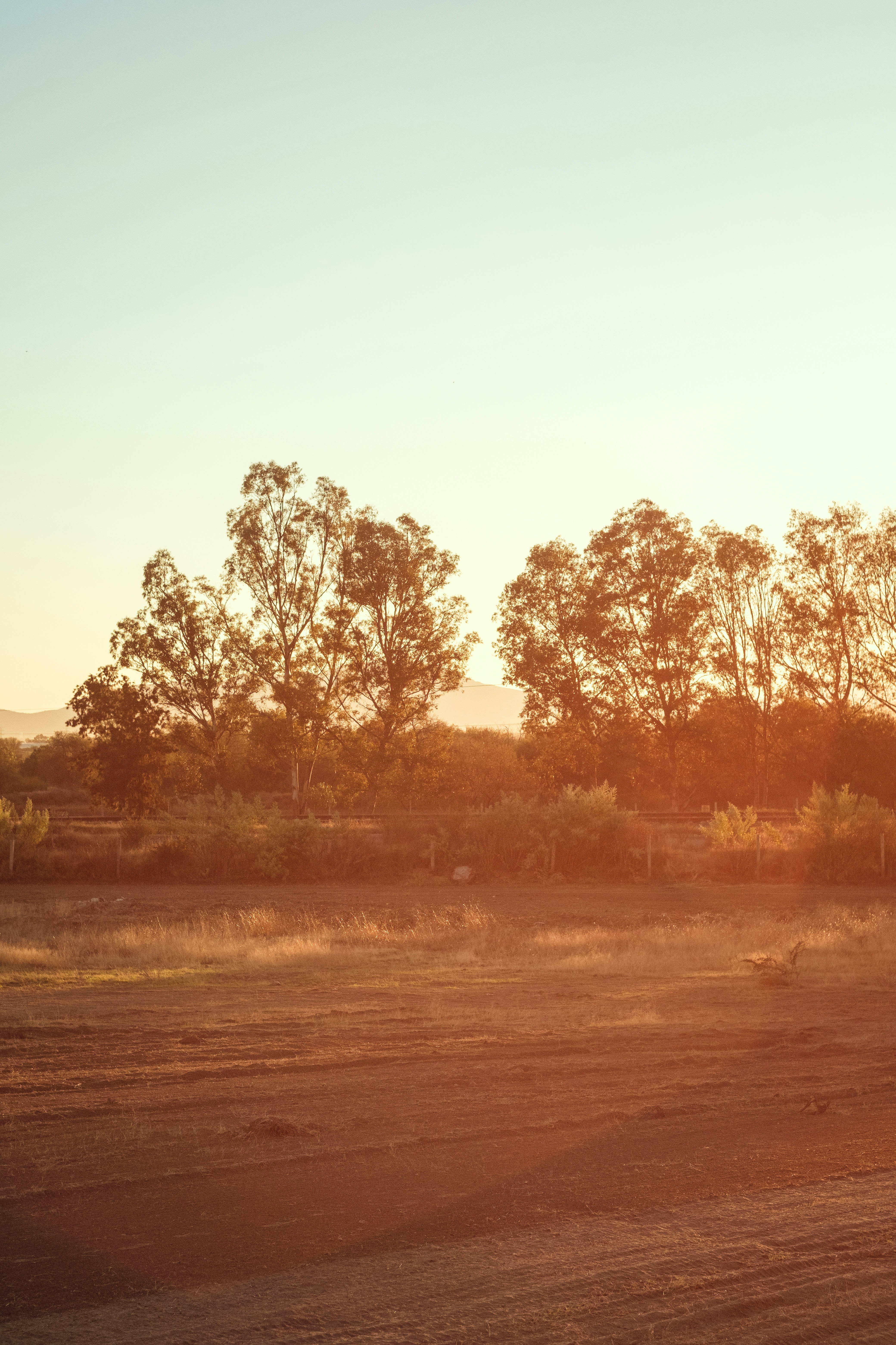 Photo by alex_quezada