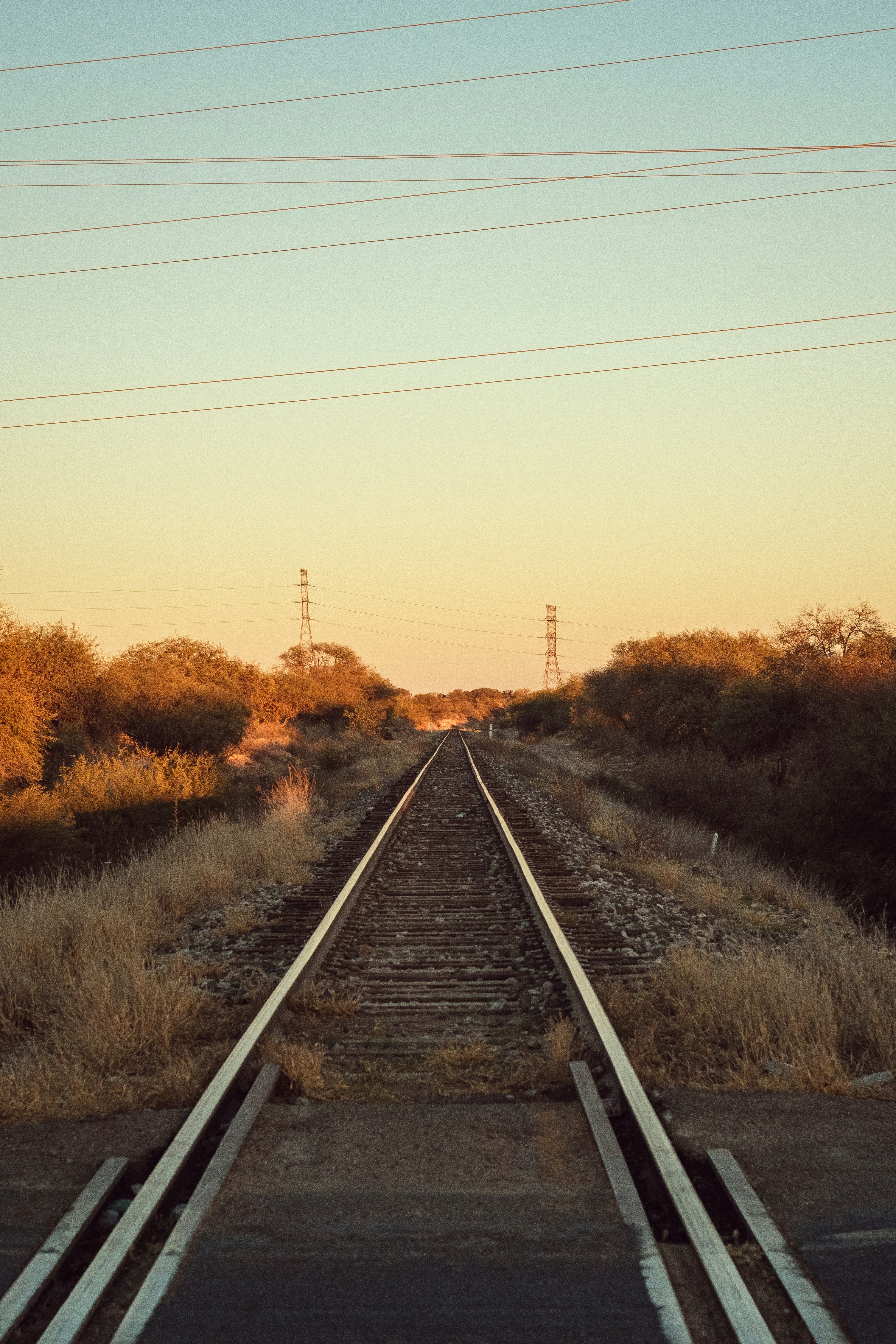 Photo by alex_quezada