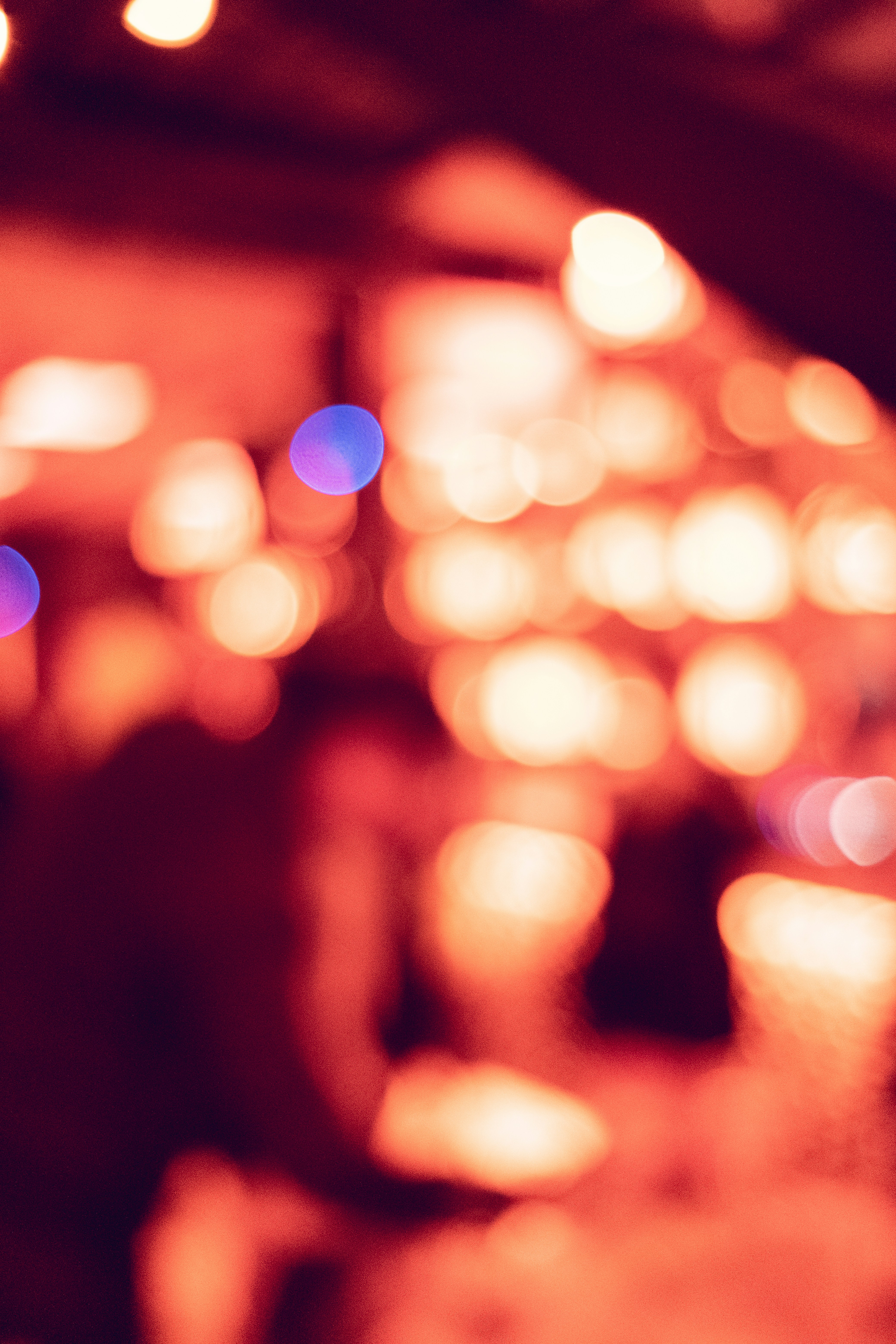 Photo by alex_quezada