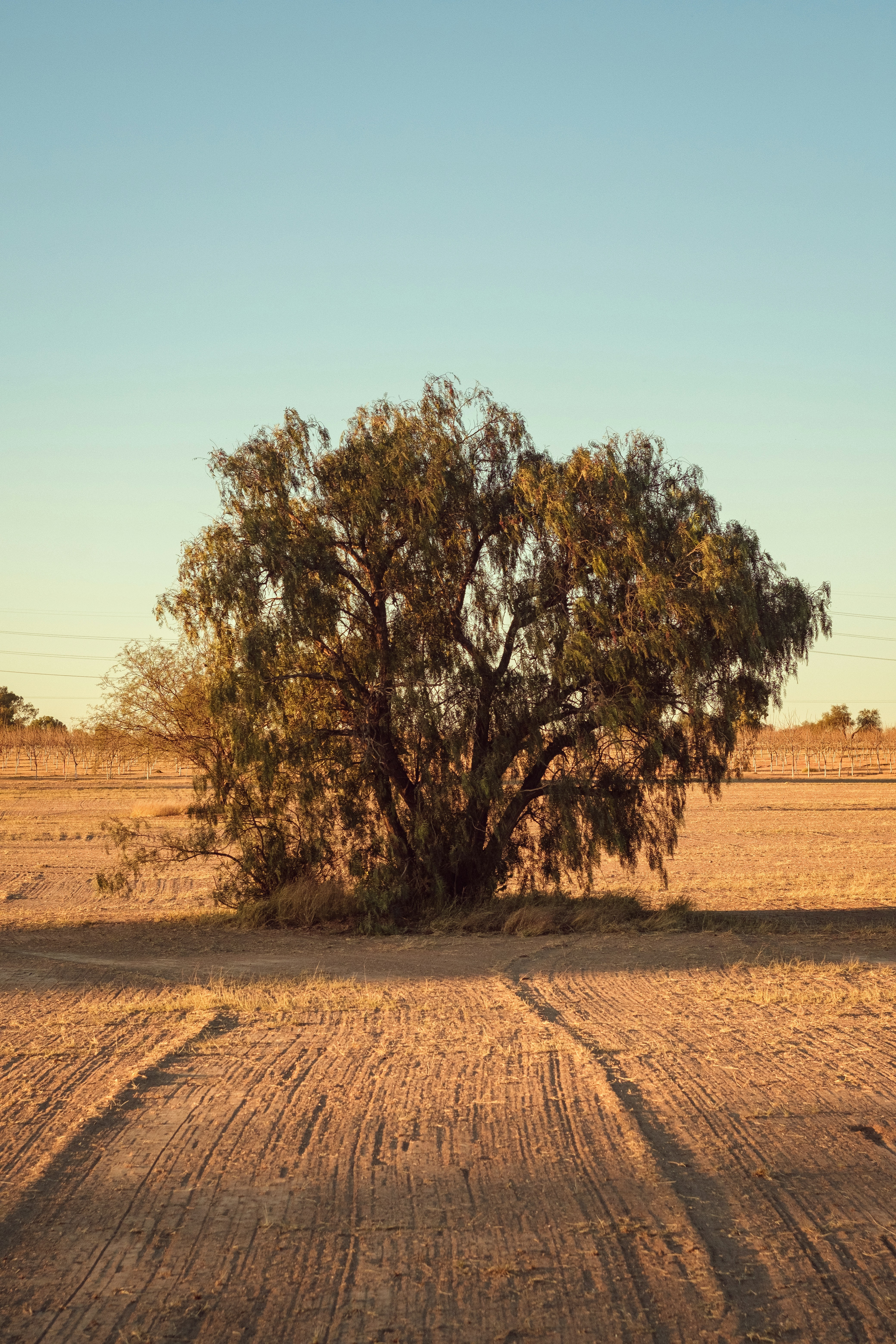 Photo by alex_quezada