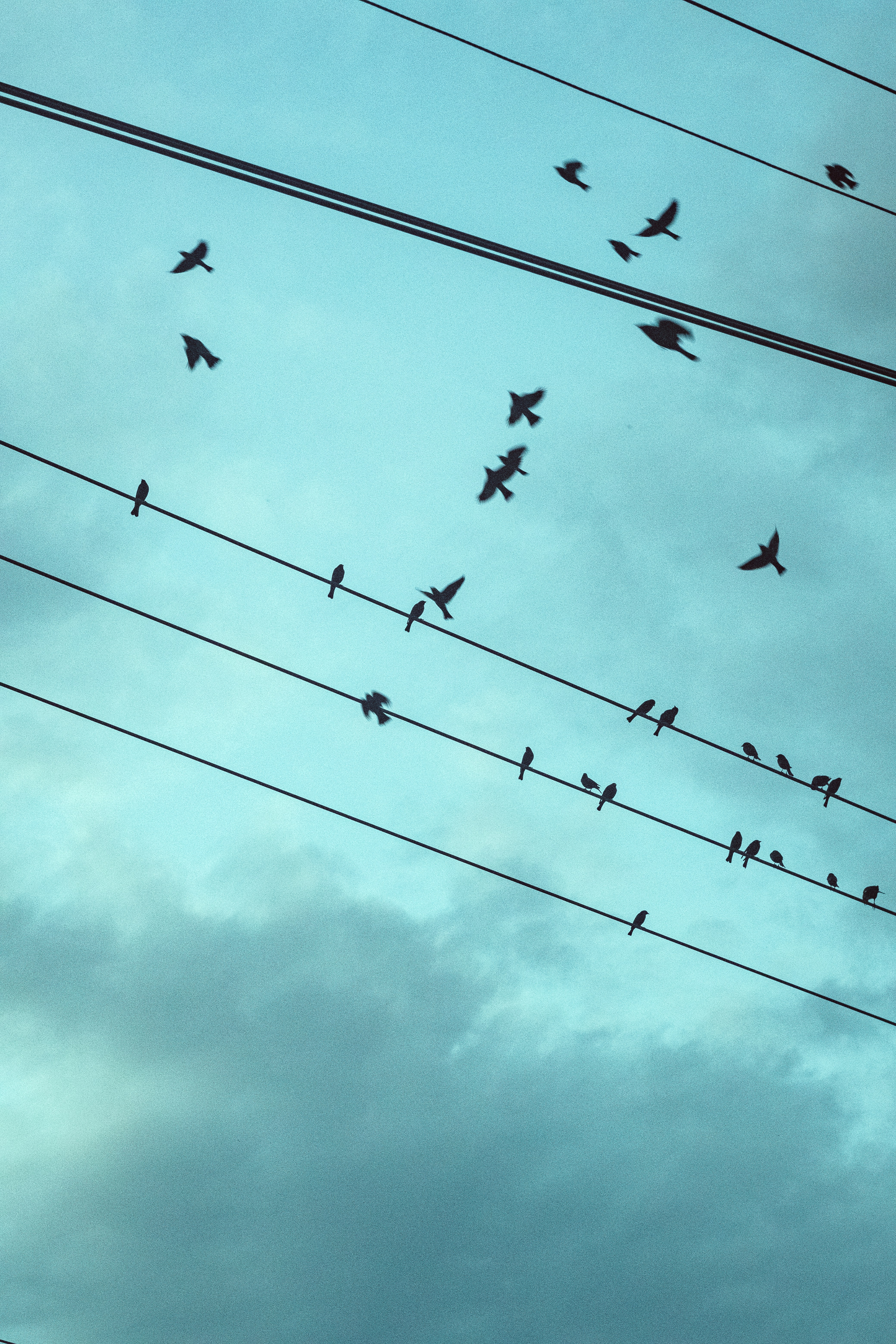 Photo by alex_quezada