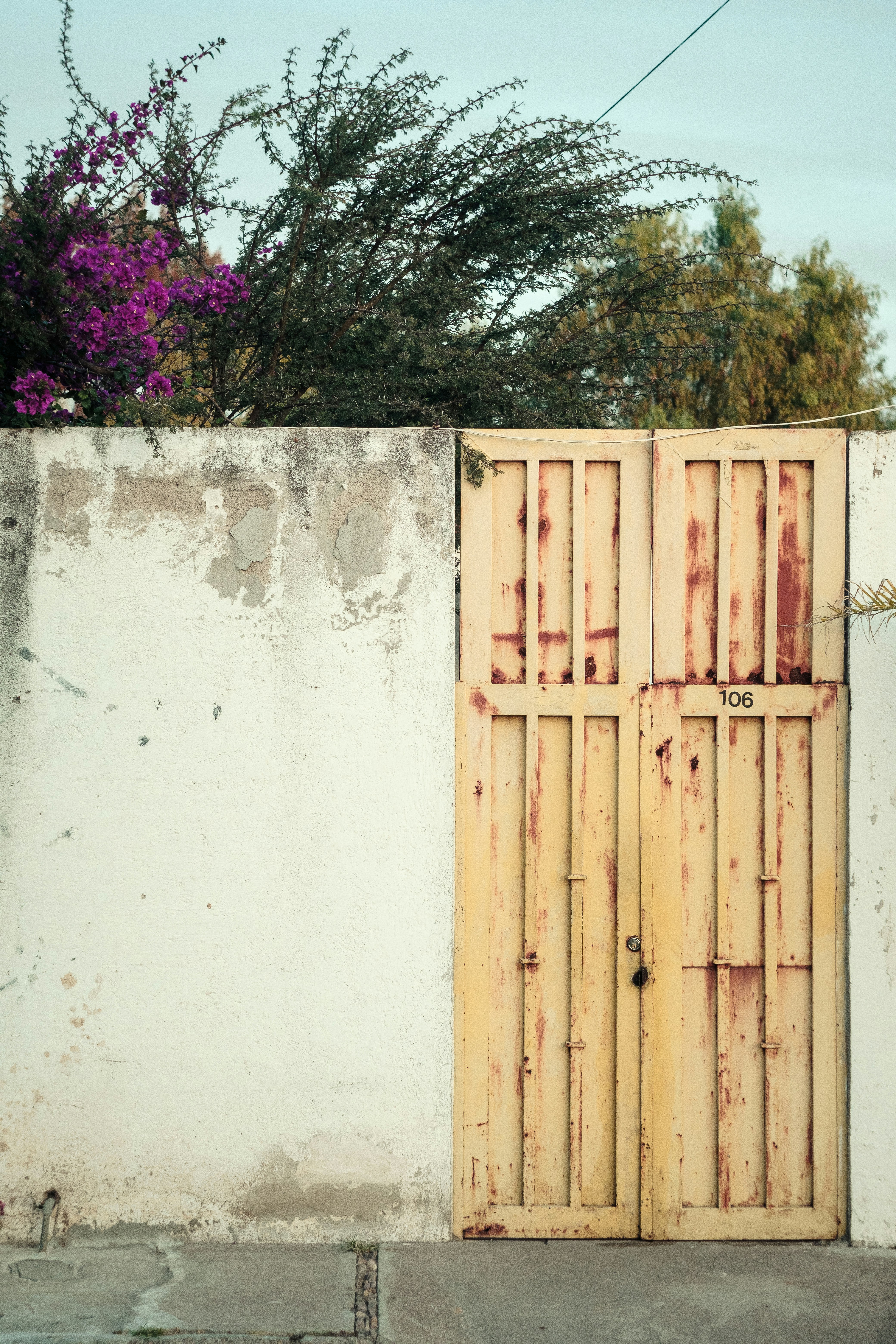 Photo by alex_quezada