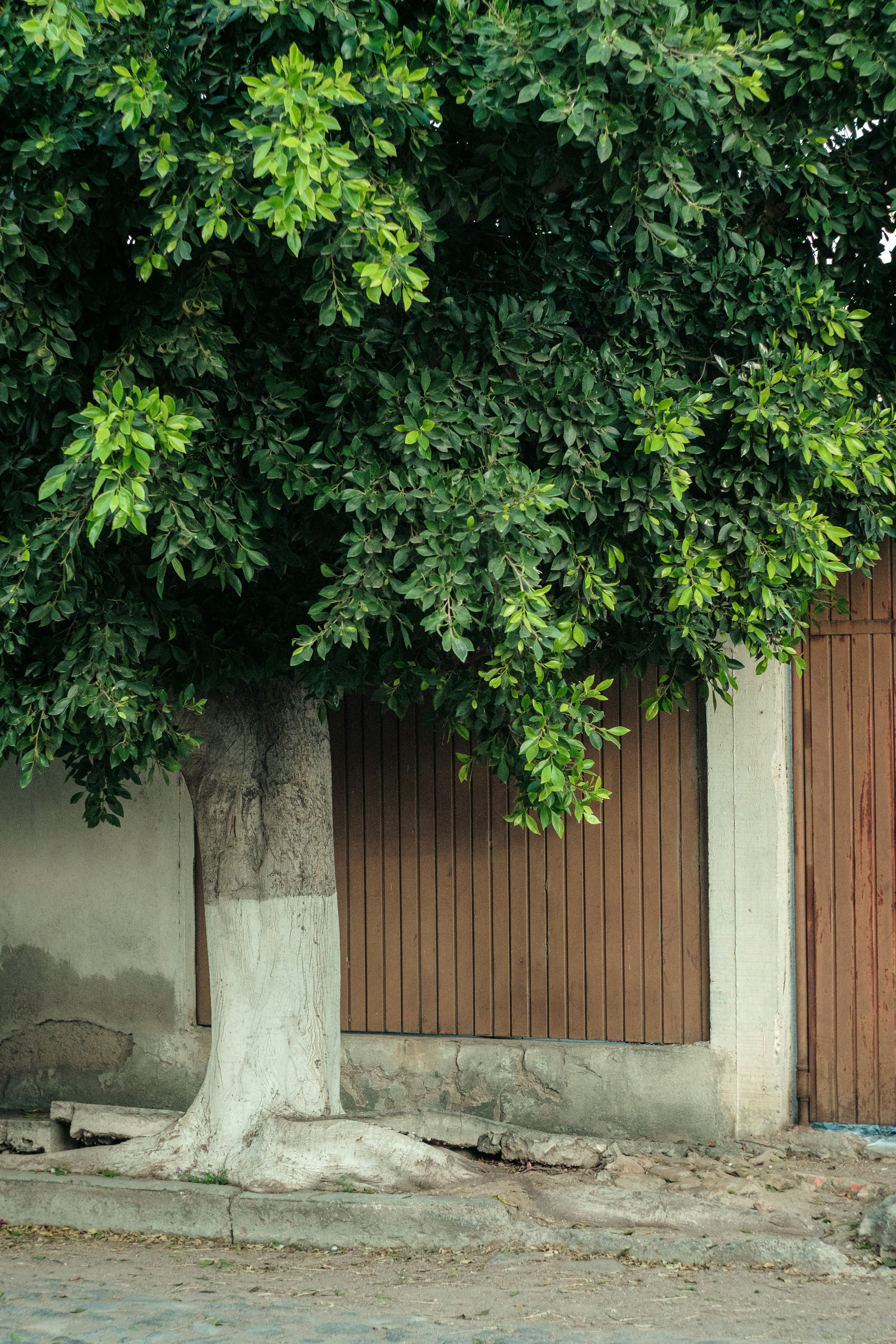 Photo by alex_quezada