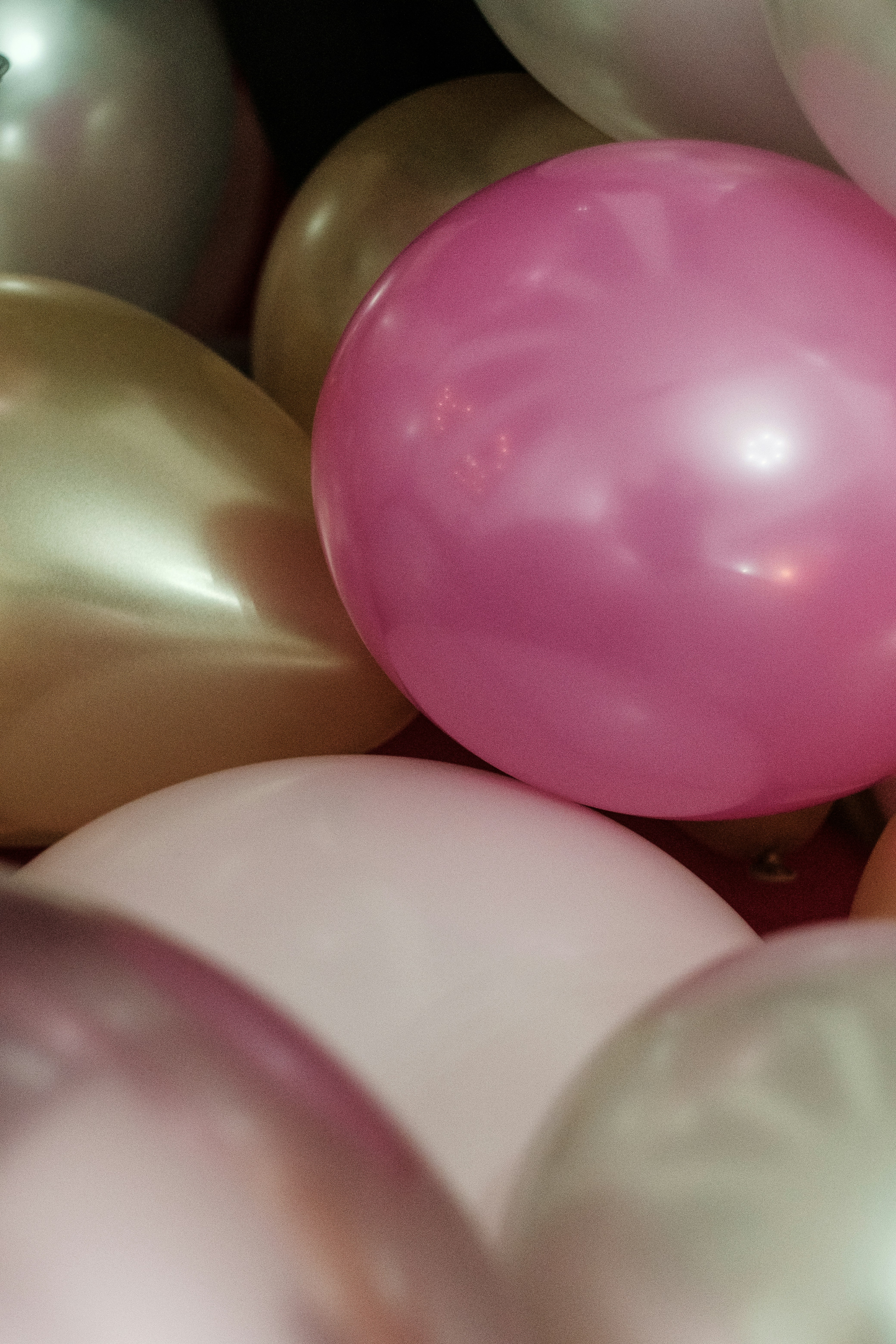 Photo by alex_quezada