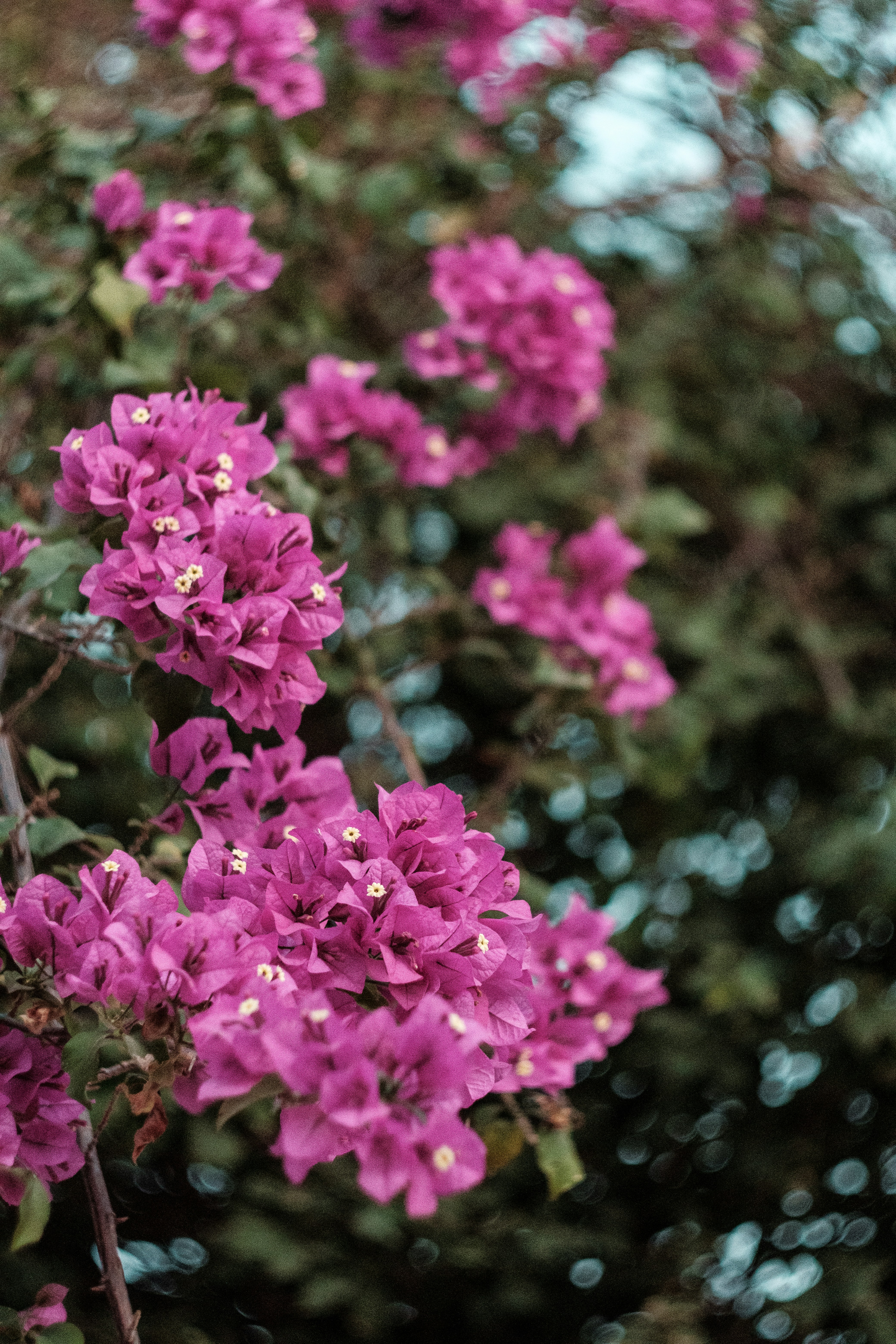 Photo by alex_quezada