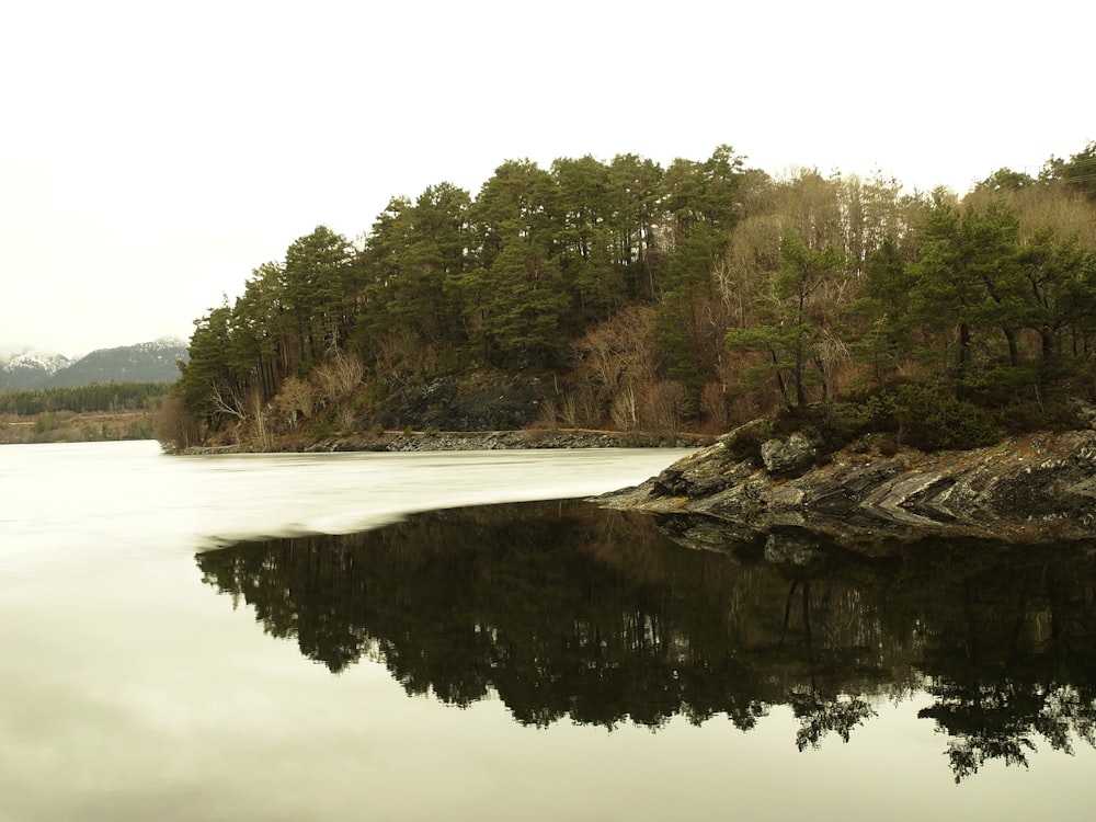 a large body of water surrounded by trees