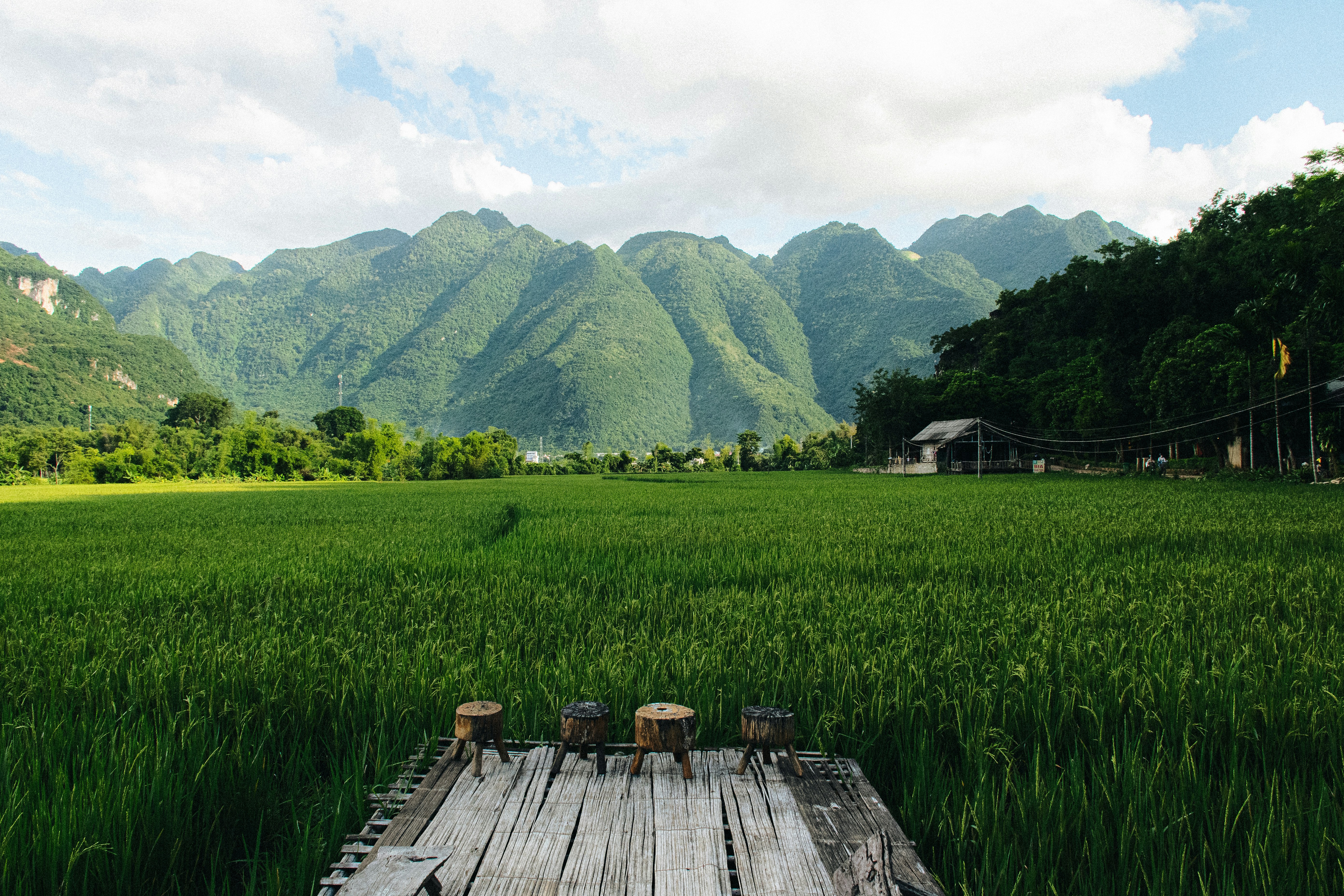 a wooden platform in a field with mountains in the background, mai chau Vietnam