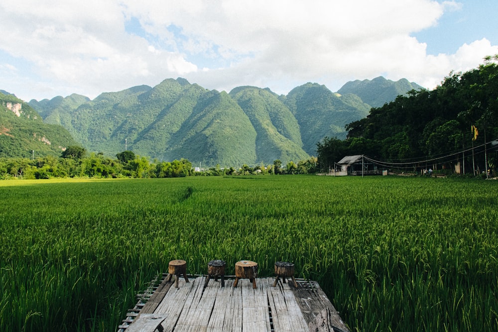a wooden platform in a field with mountains in the background