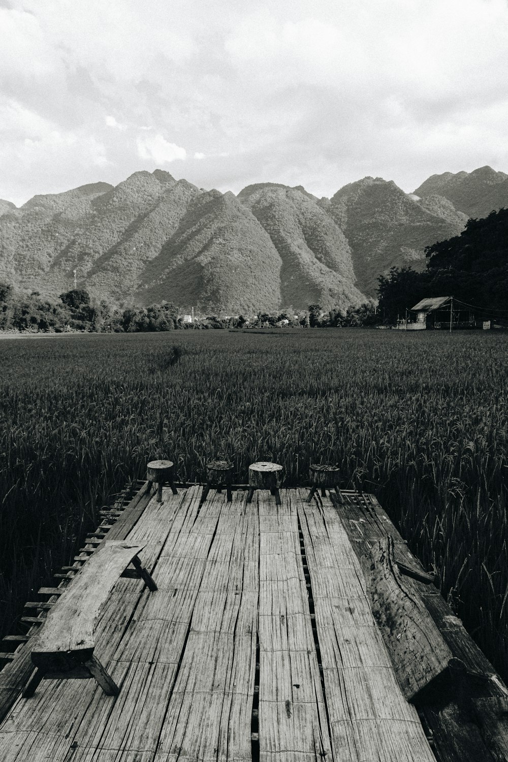 uma foto em preto e branco de uma doca de madeira