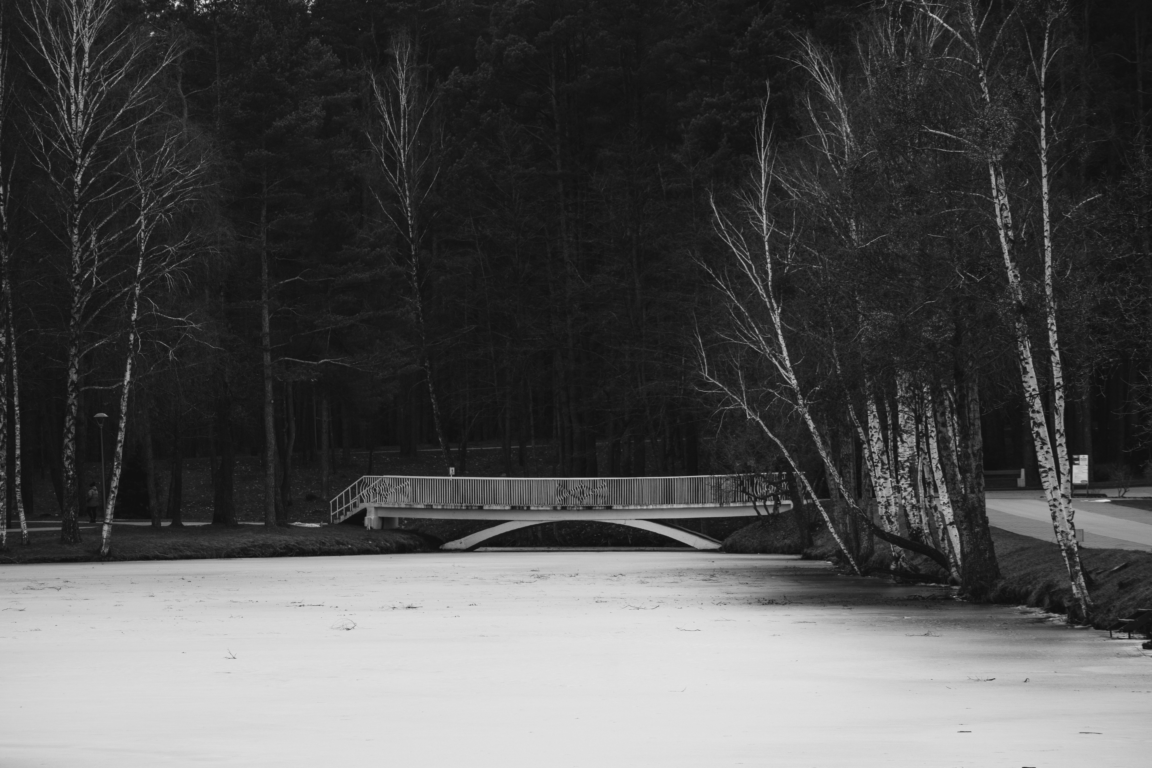 Druskininkai travel photo