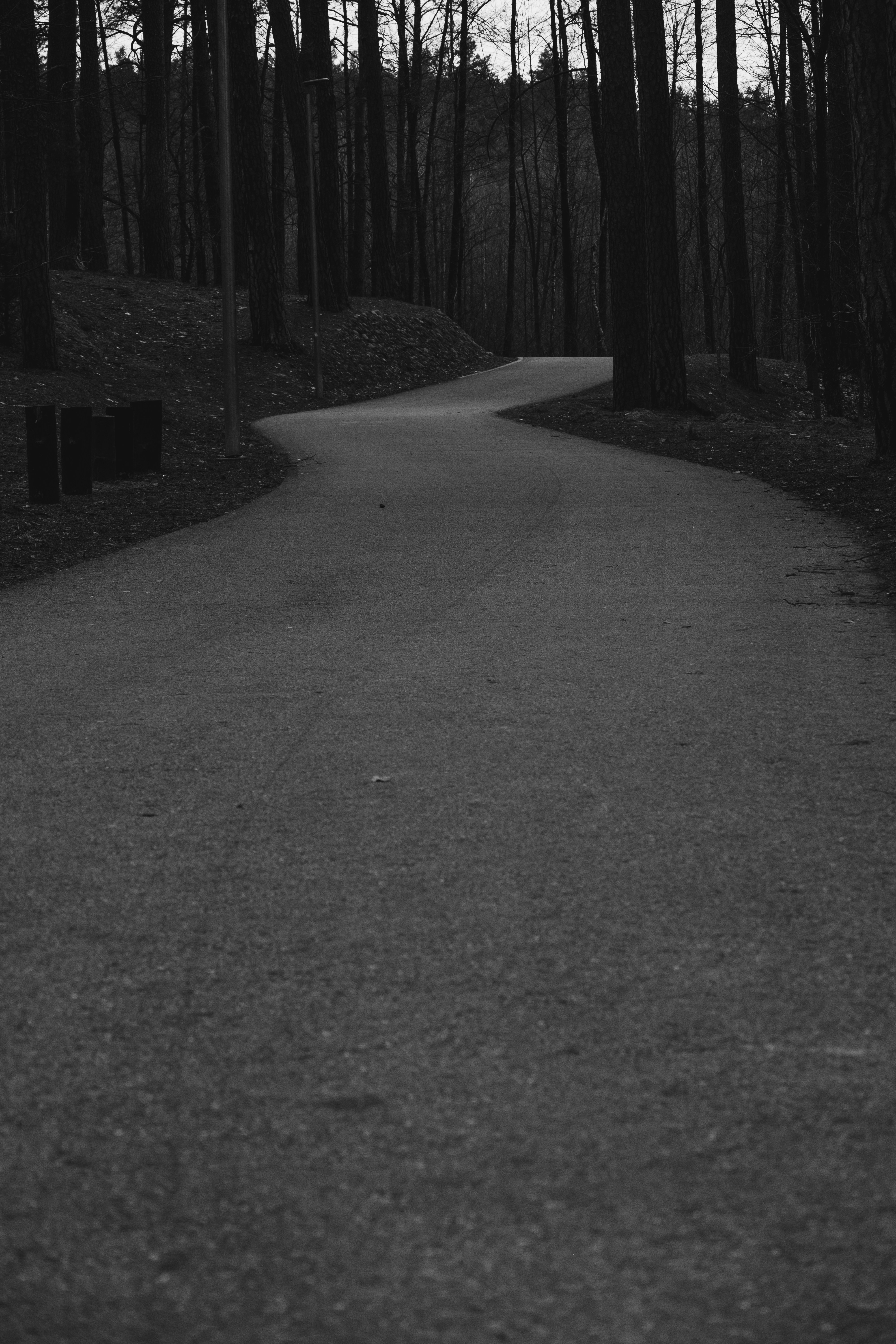 Druskininkai – Geography & Spatial Structure