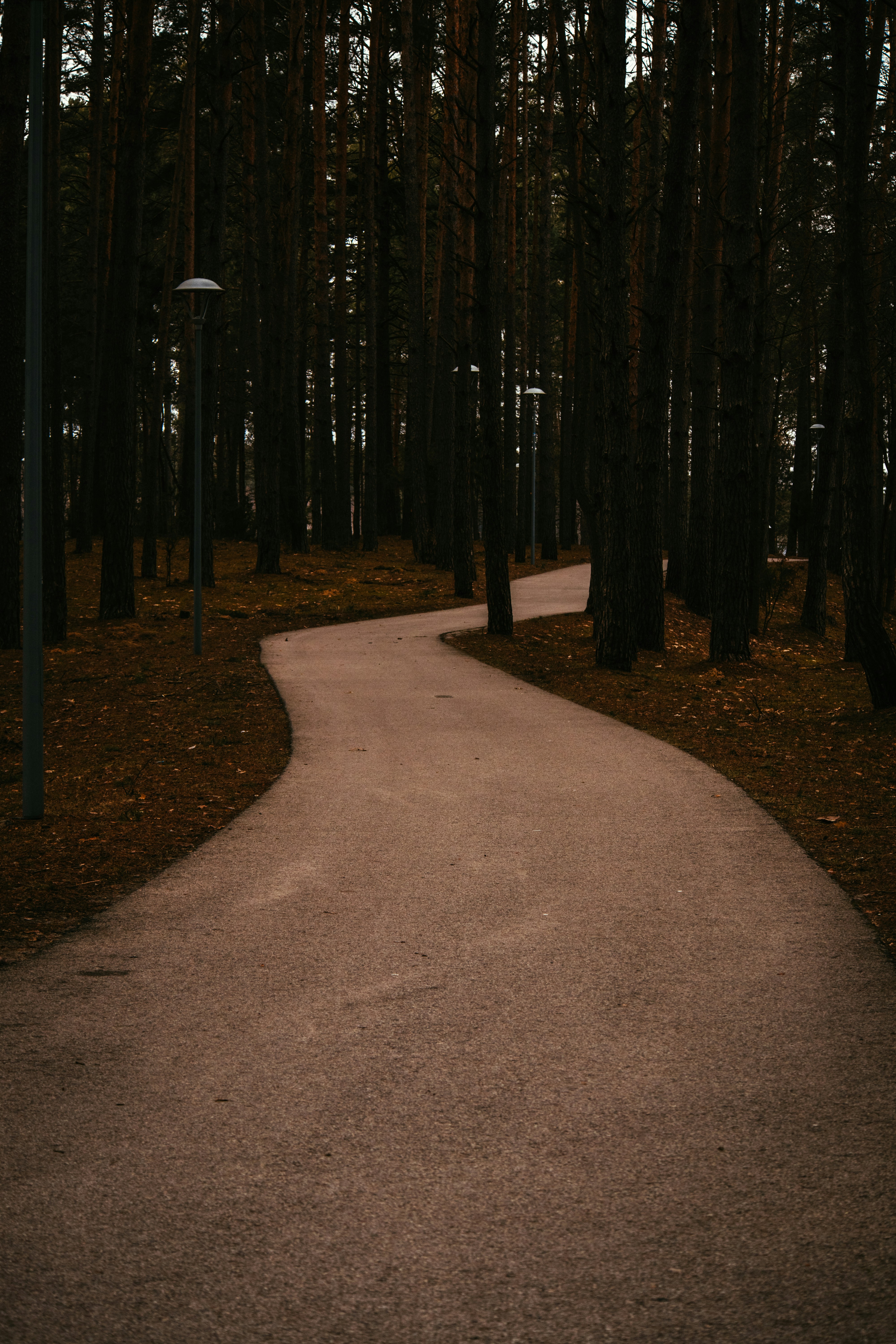 Druskininkai – Natural Environment & Landscapes