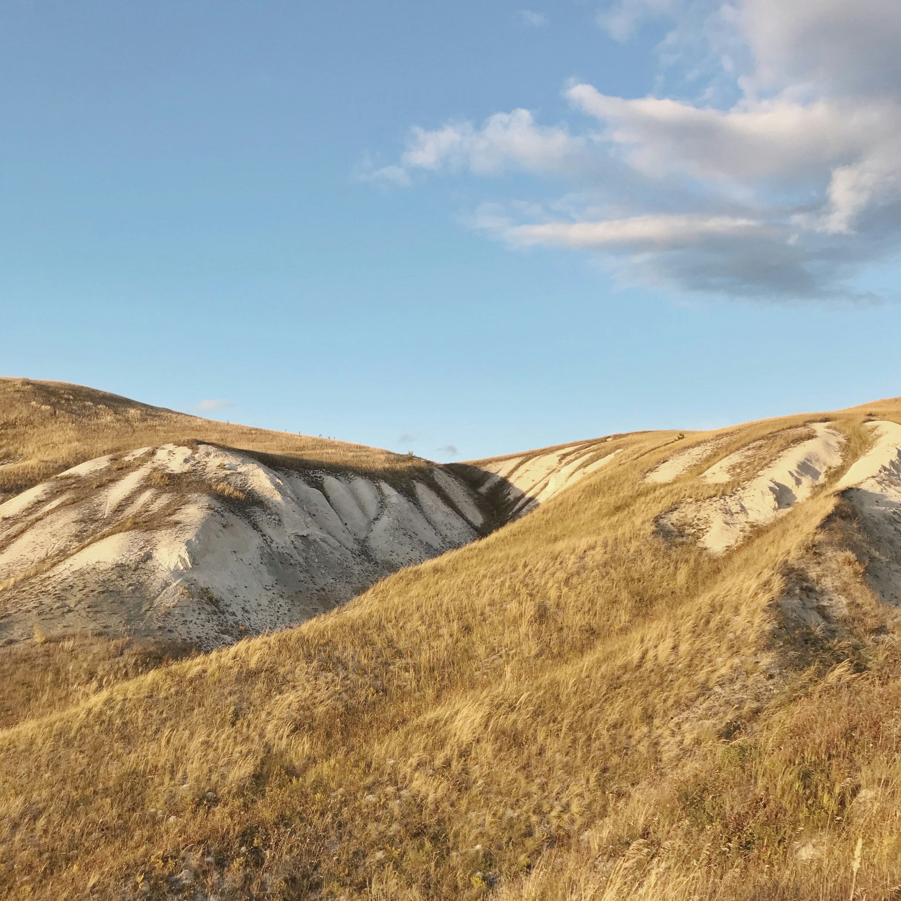 A grassy field with a hill in the background photo – Free Forest Image ...
