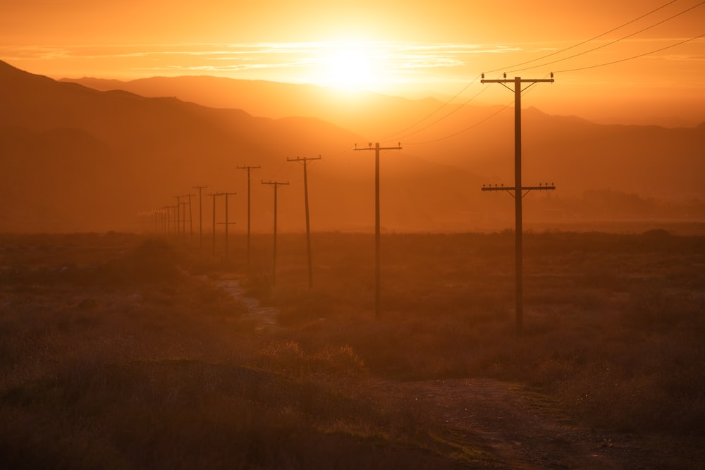 the sun is setting over a field of power lines