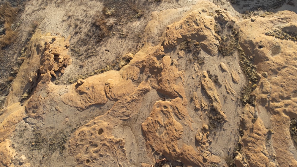 a bird is perched on a rock formation