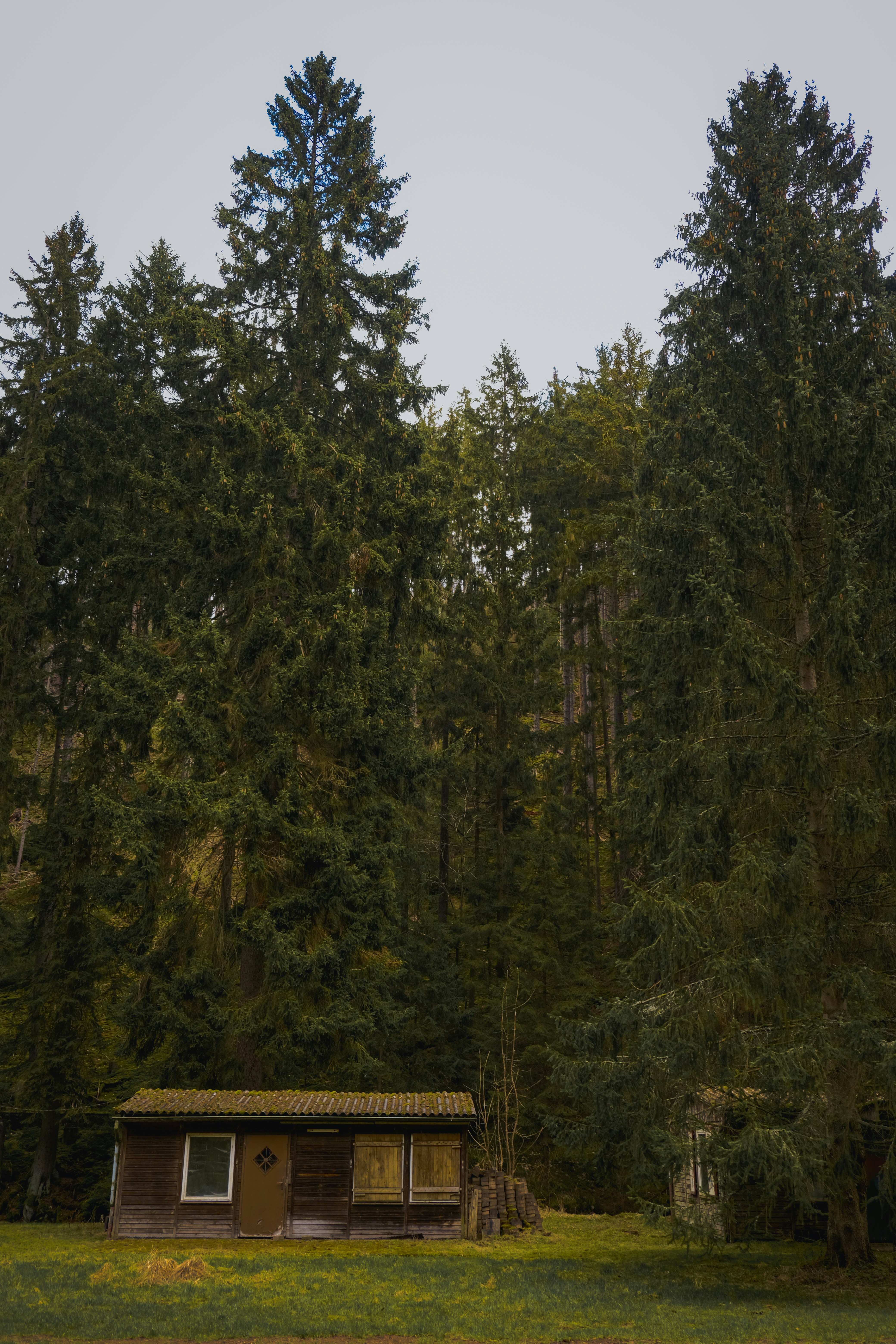 Photo by denisaficau