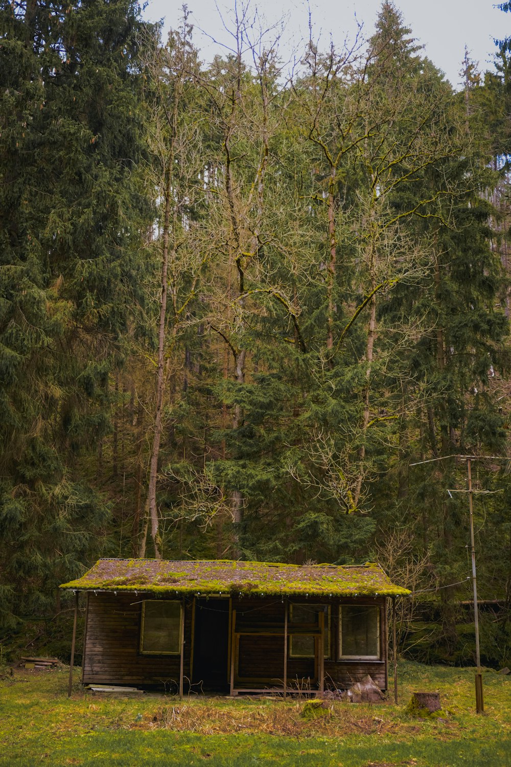 a cabin in the middle of a forest
