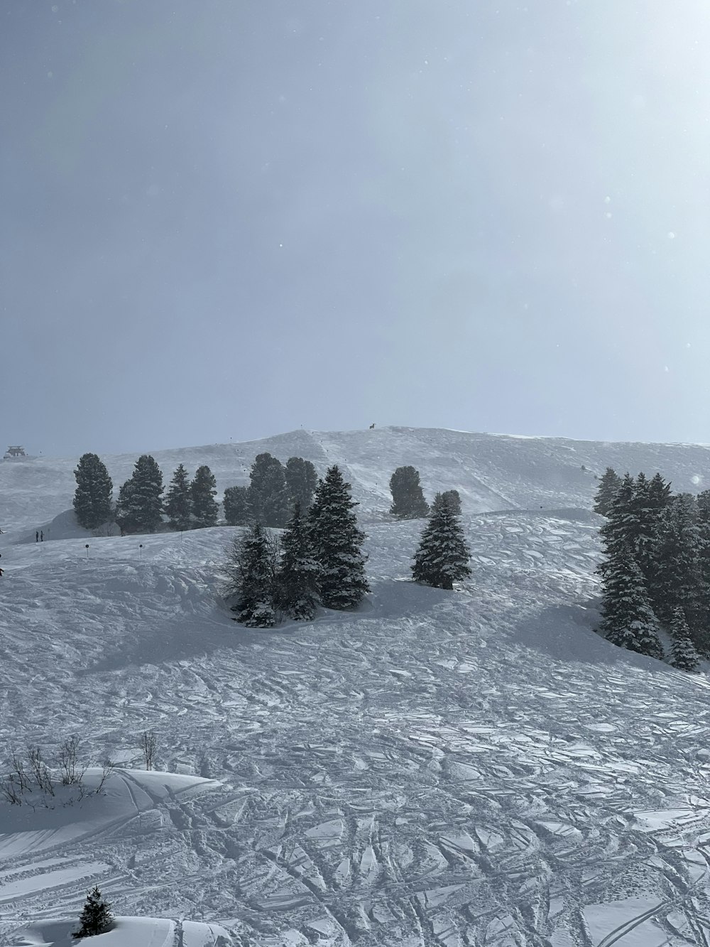 a snow covered ski slope with trees in the background