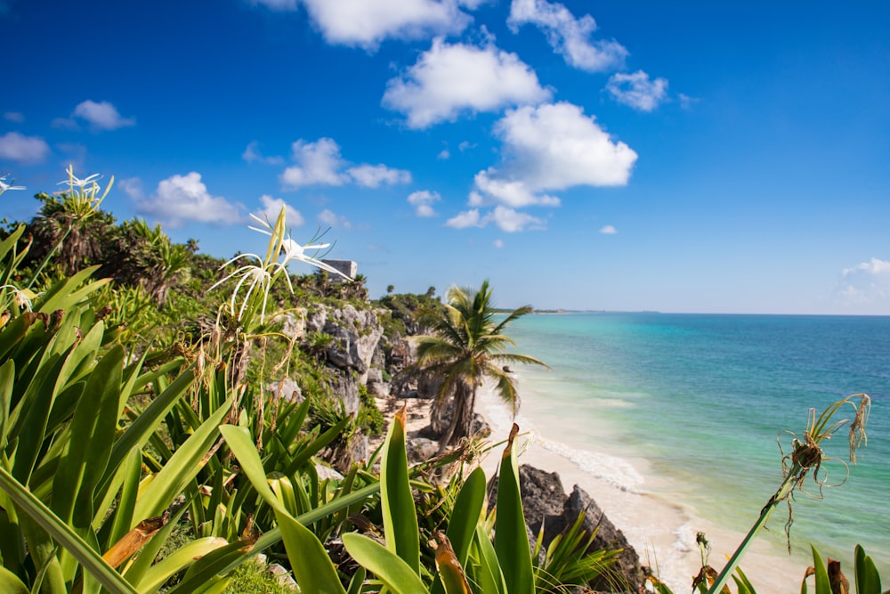 uma vista de uma praia tropical de um penhasco