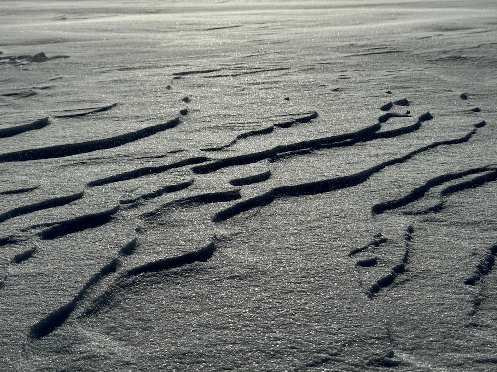 footprints in the sand of a beach