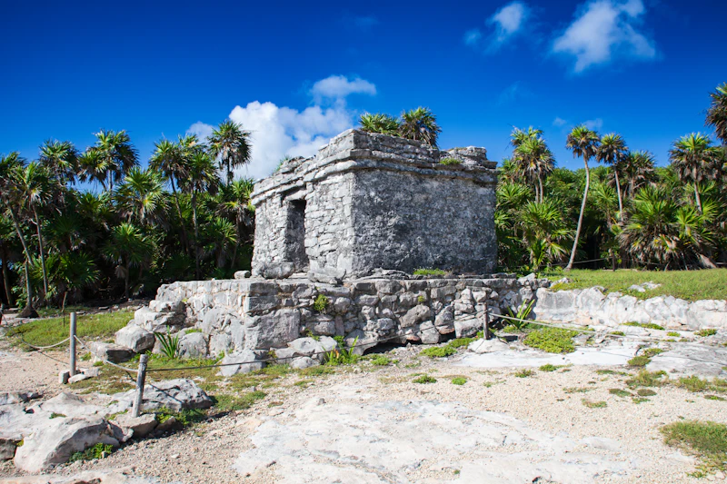 Tulum + cenote