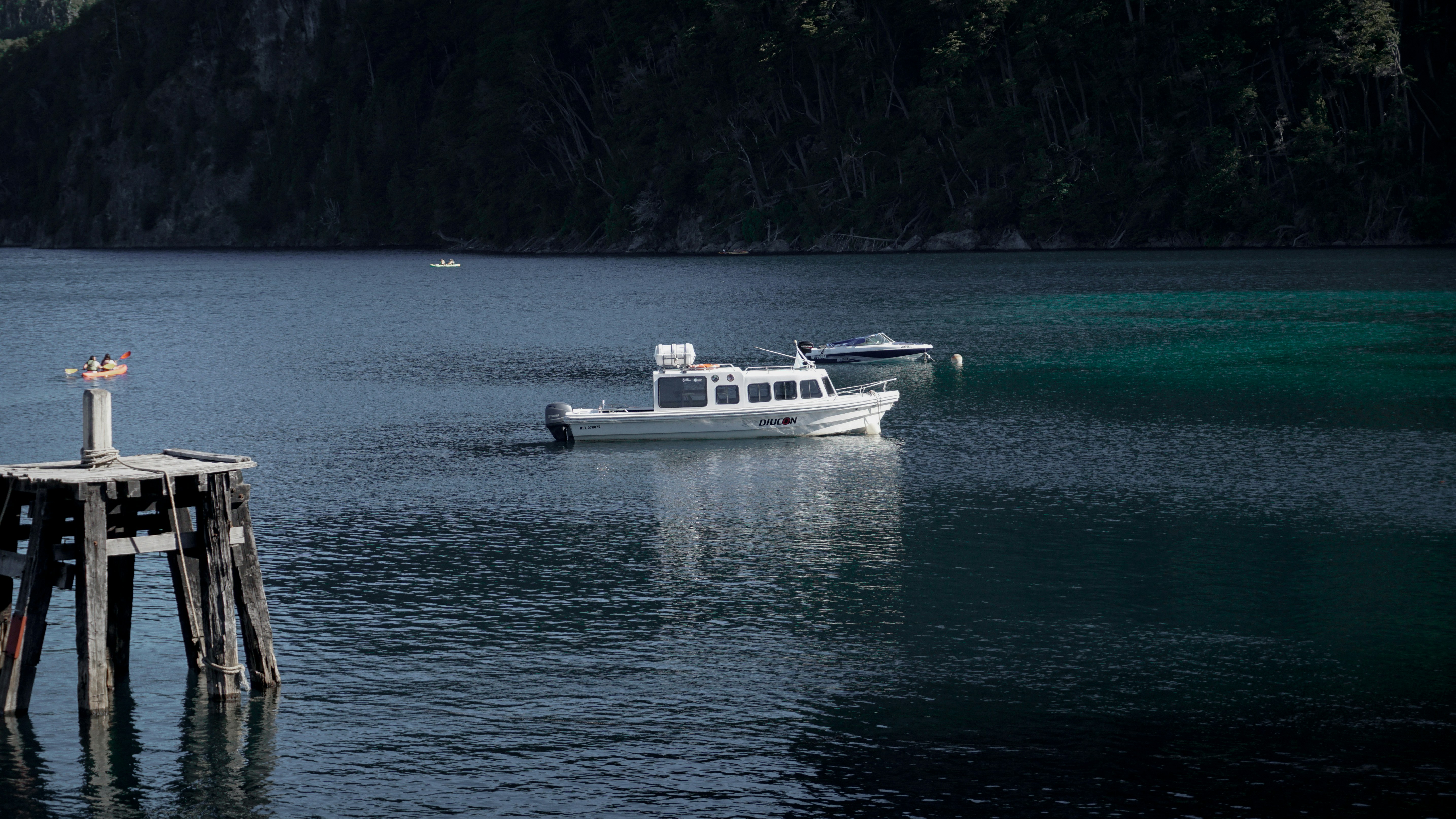 Photo by julianurrutia