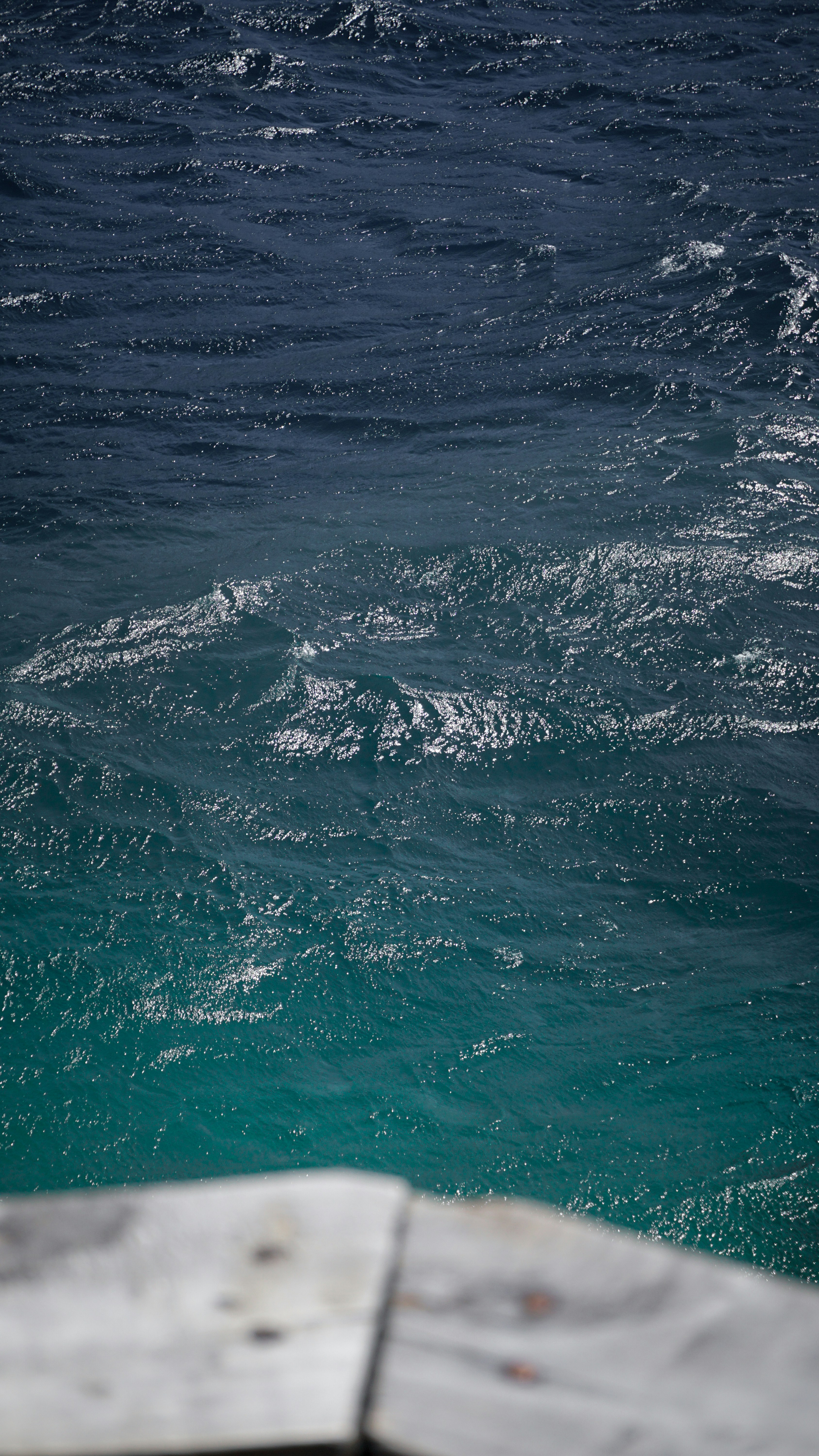 Photo by julianurrutia