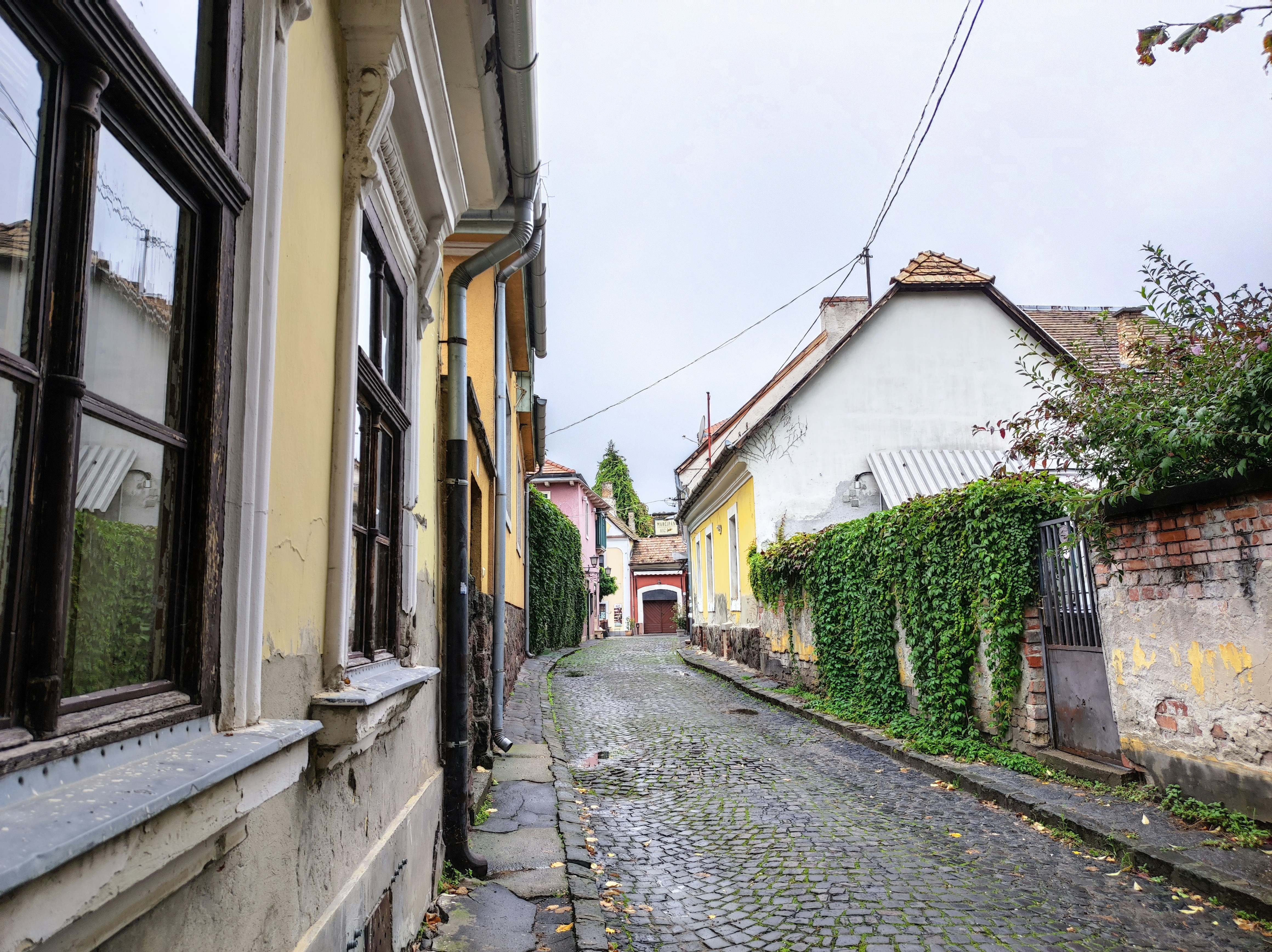 Photo by dm8ryphotos