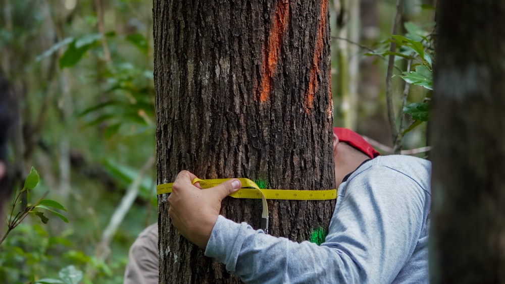 un uomo che misura un albero con un metro a nastro