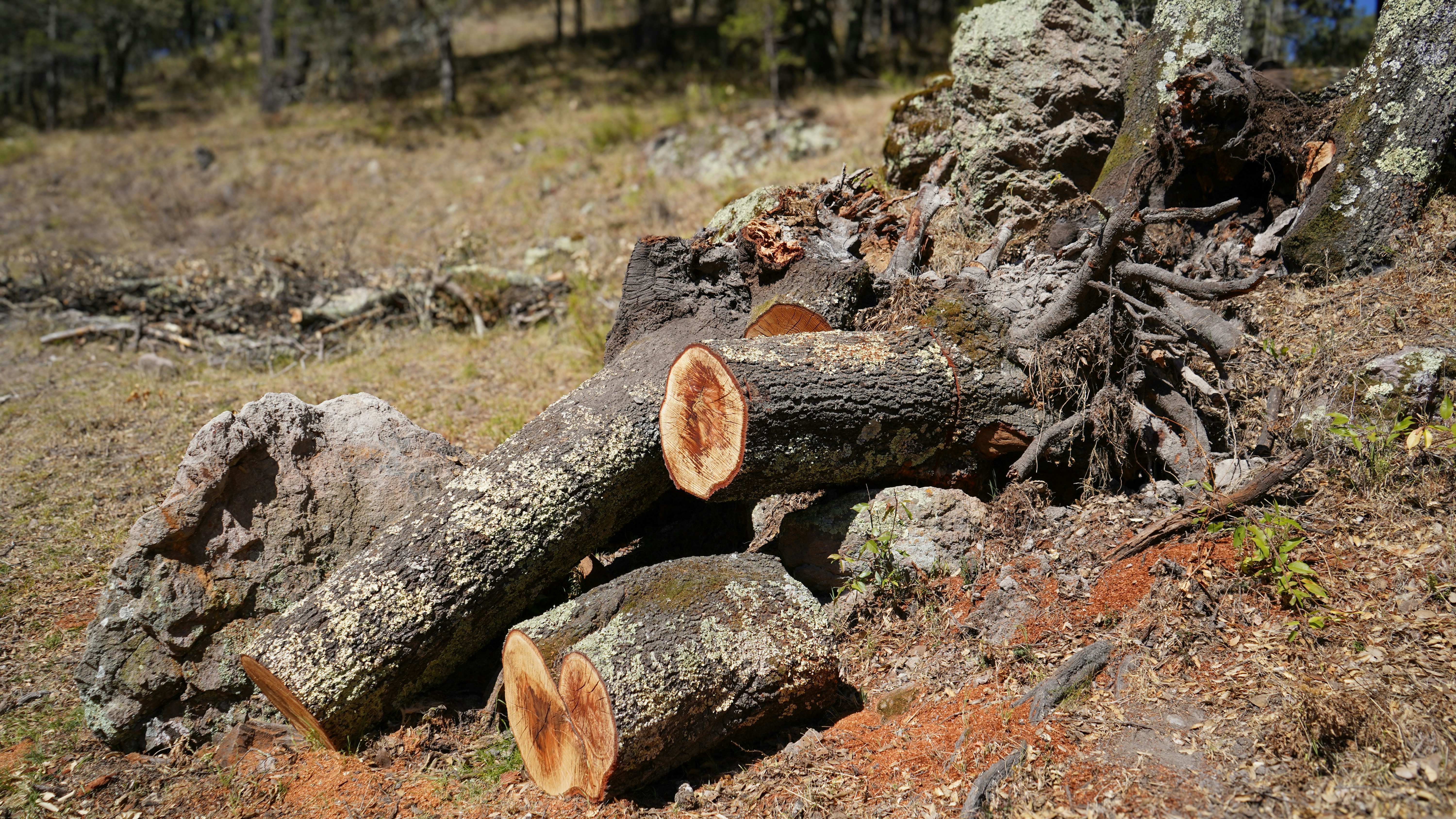 Agent360 Monitoring and logging