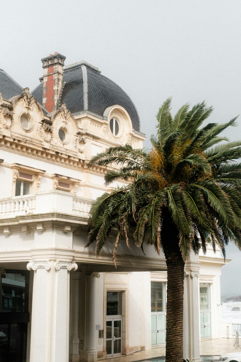 um grande edifício branco com uma palmeira à sua frente