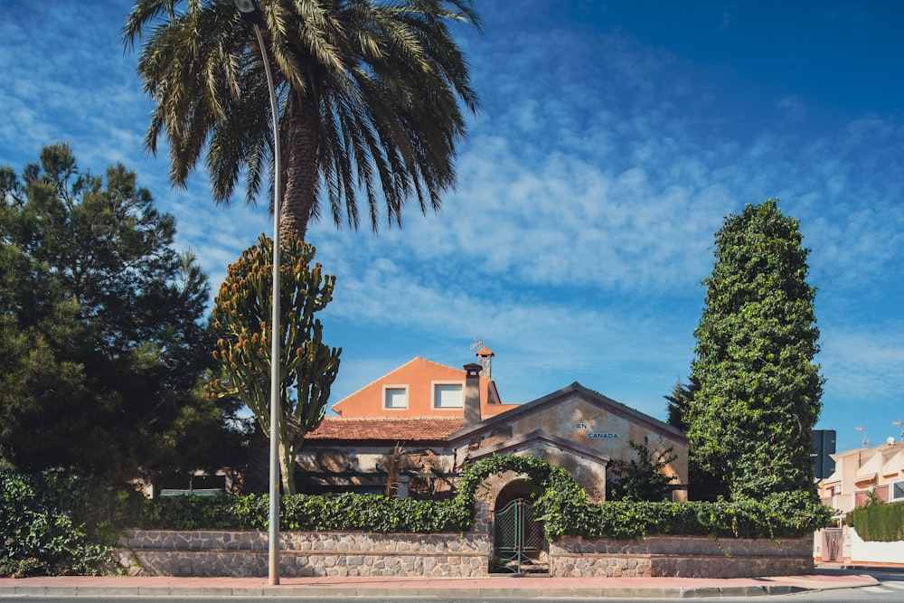 a house with a palm tree in front of it