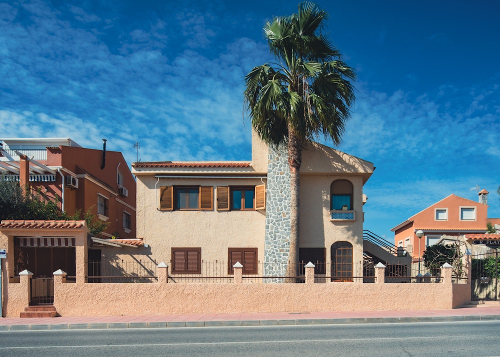 a palm tree is in front of a house