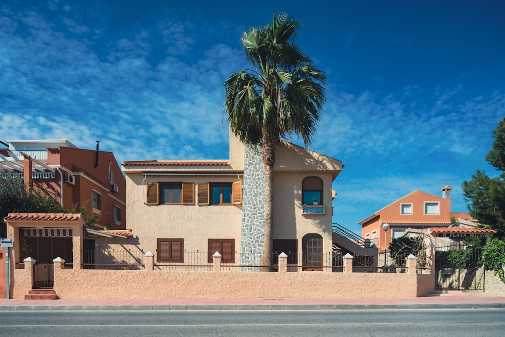 a palm tree is in front of a house