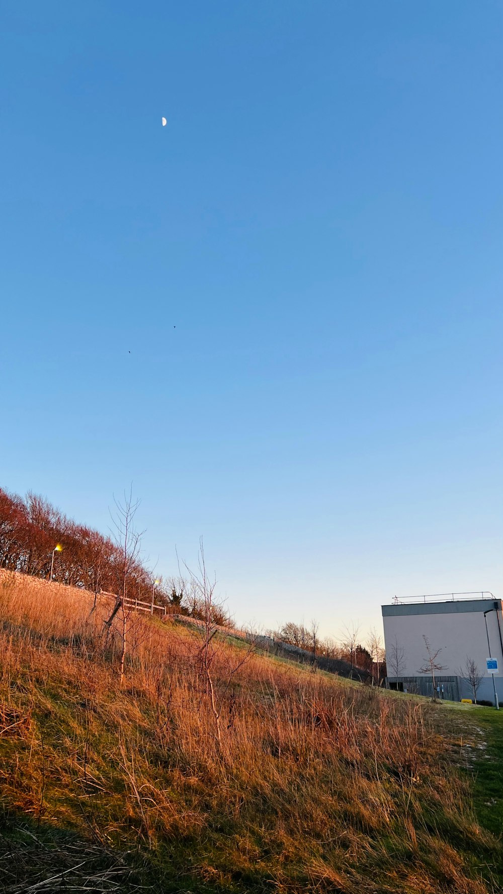 a grassy hill with a building in the background