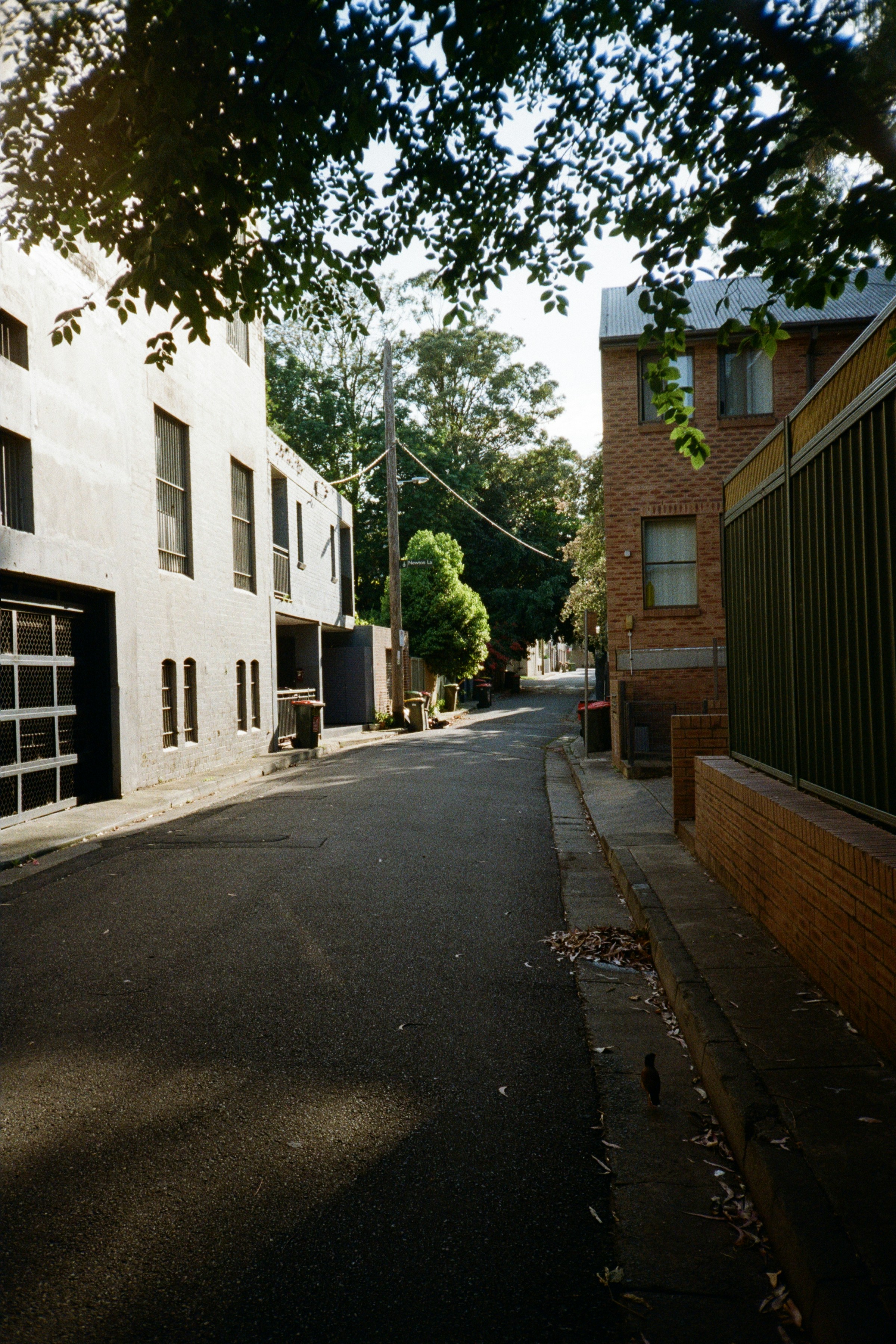 Photo by benbouvierfarrell